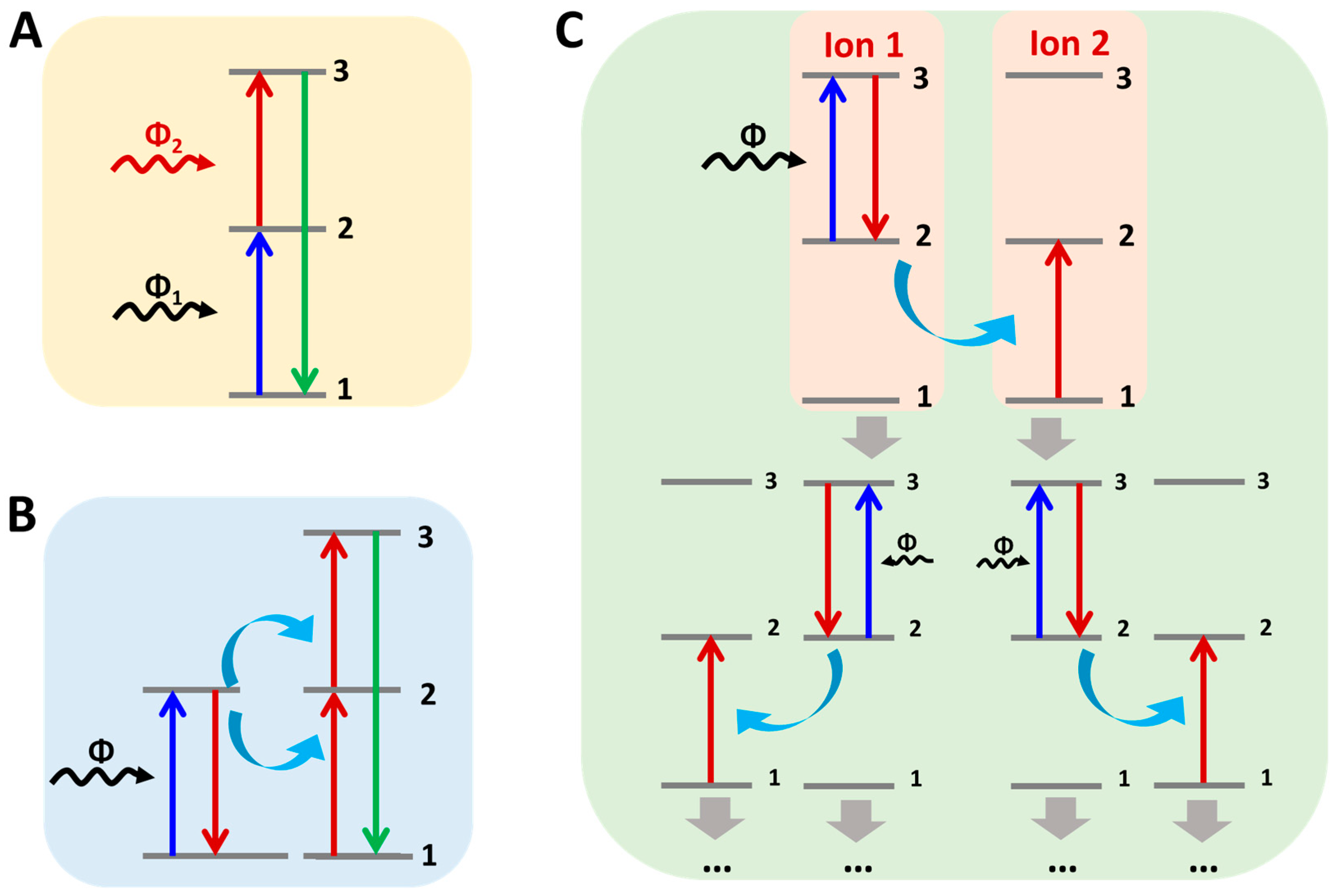 Nanomaterials 16 00148 g001