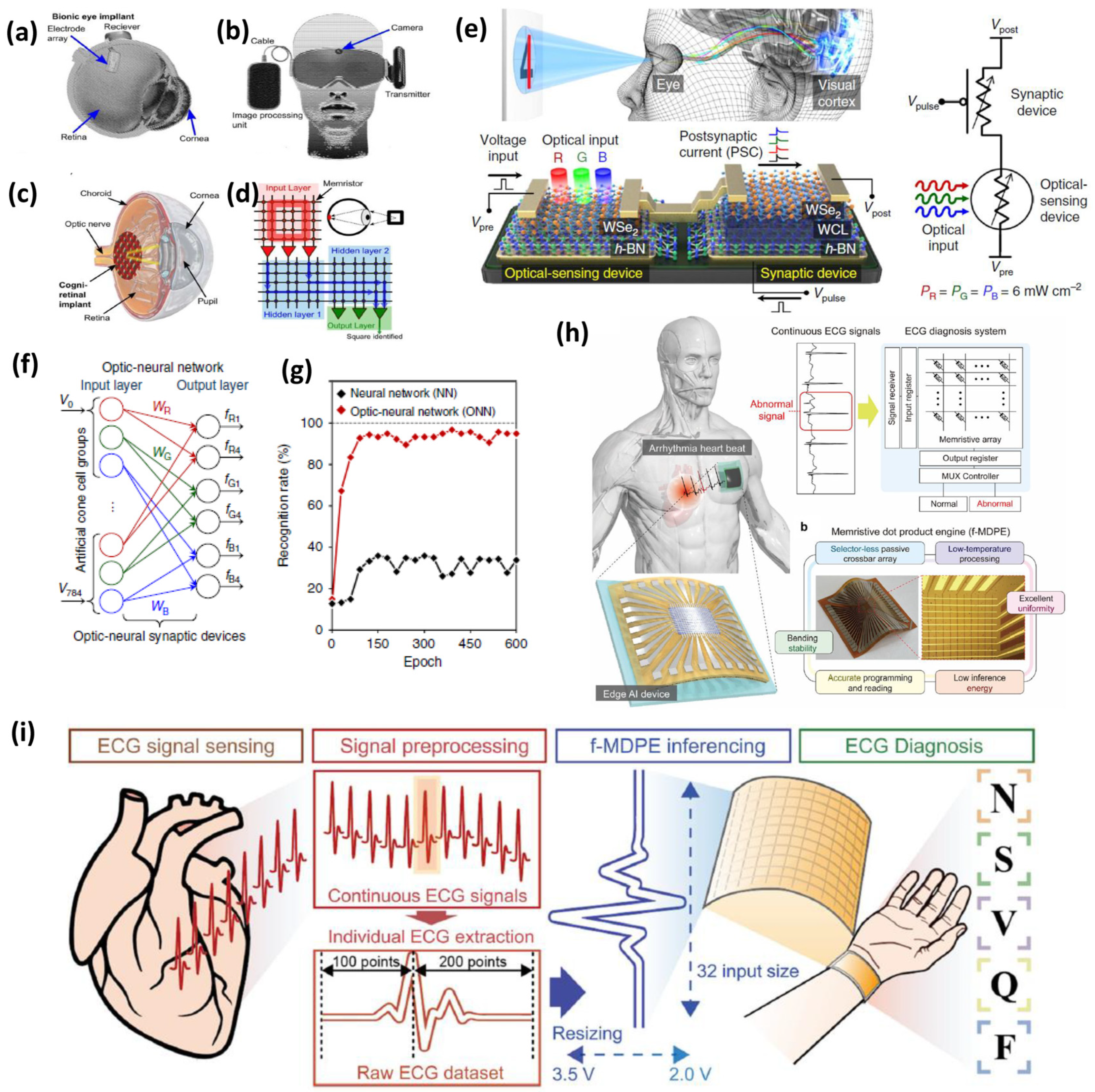 Nanomaterials 16 00179 g008 Nanomaterials 16 00179 g008