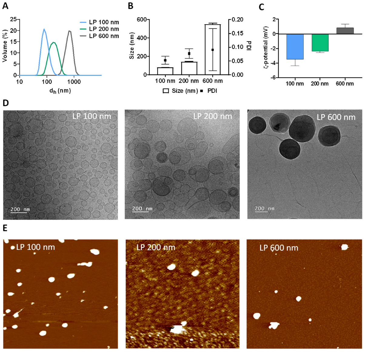 Nanomaterials 16 00200 g001