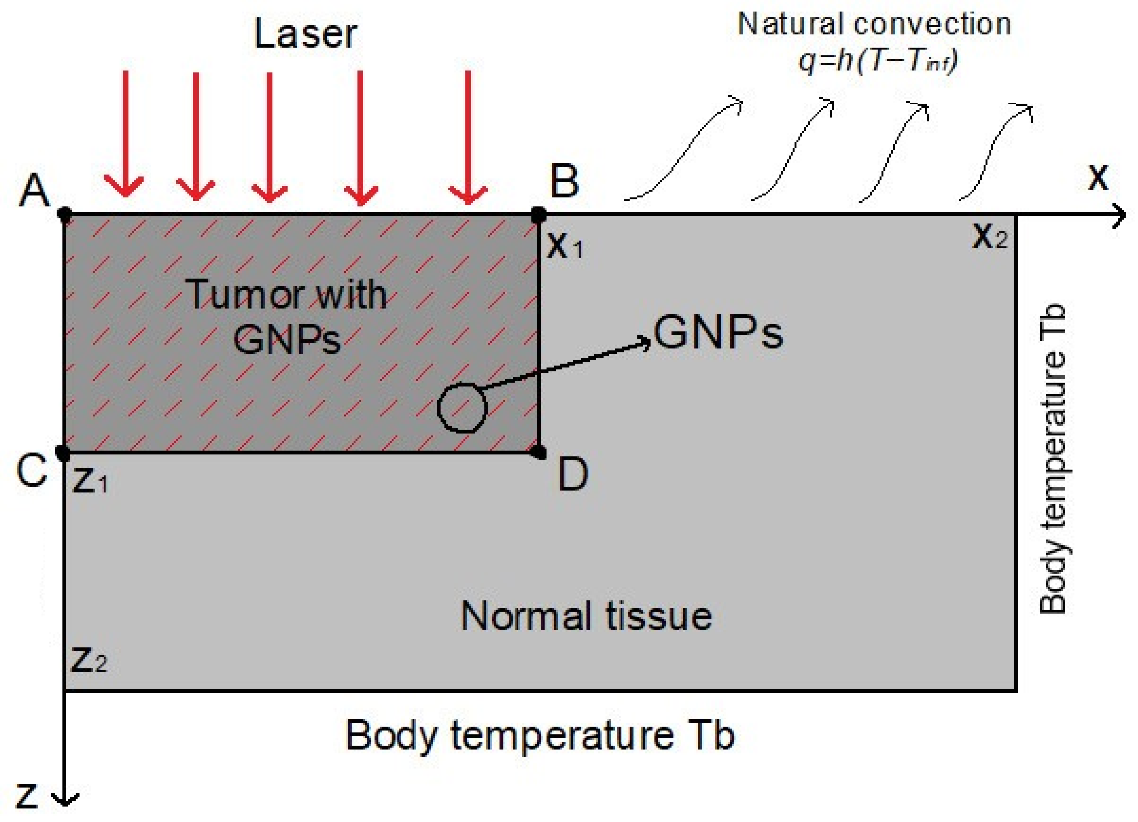 Nanomaterials 16 00279 g002 Nanomaterials 16 00279 g002