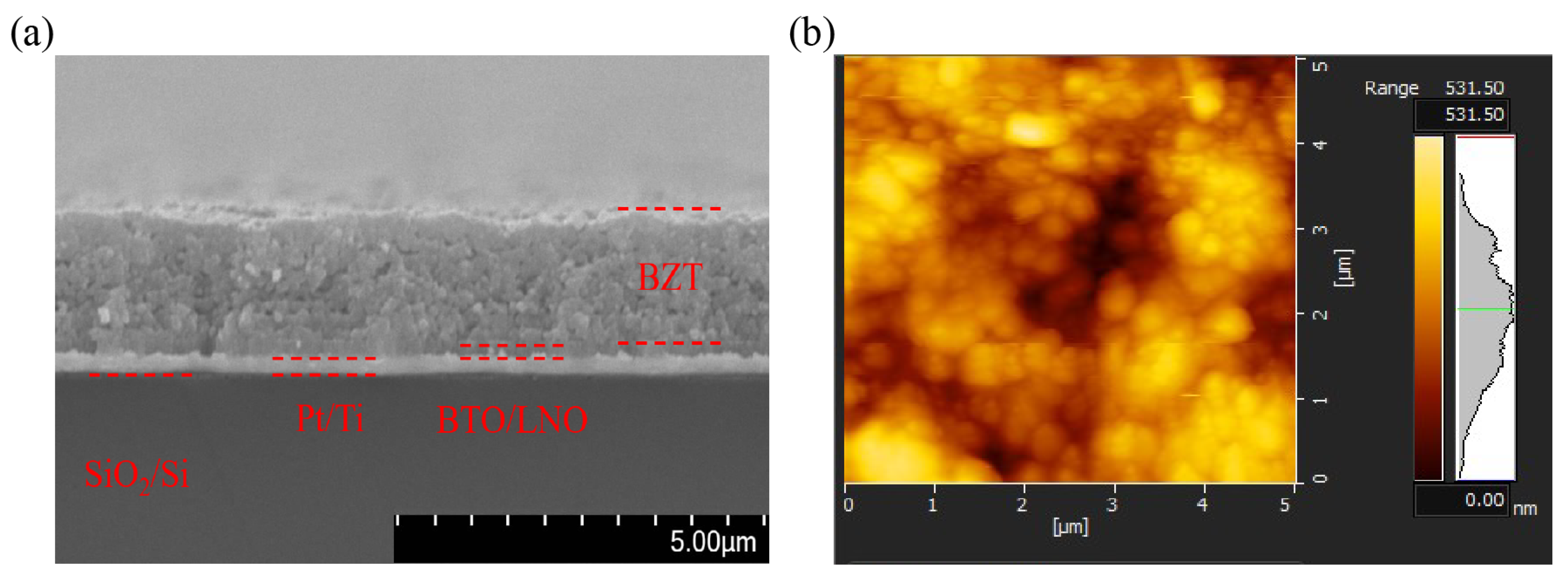 Nanomaterials 16 00352 g004 Nanomaterials 16 00352 g004