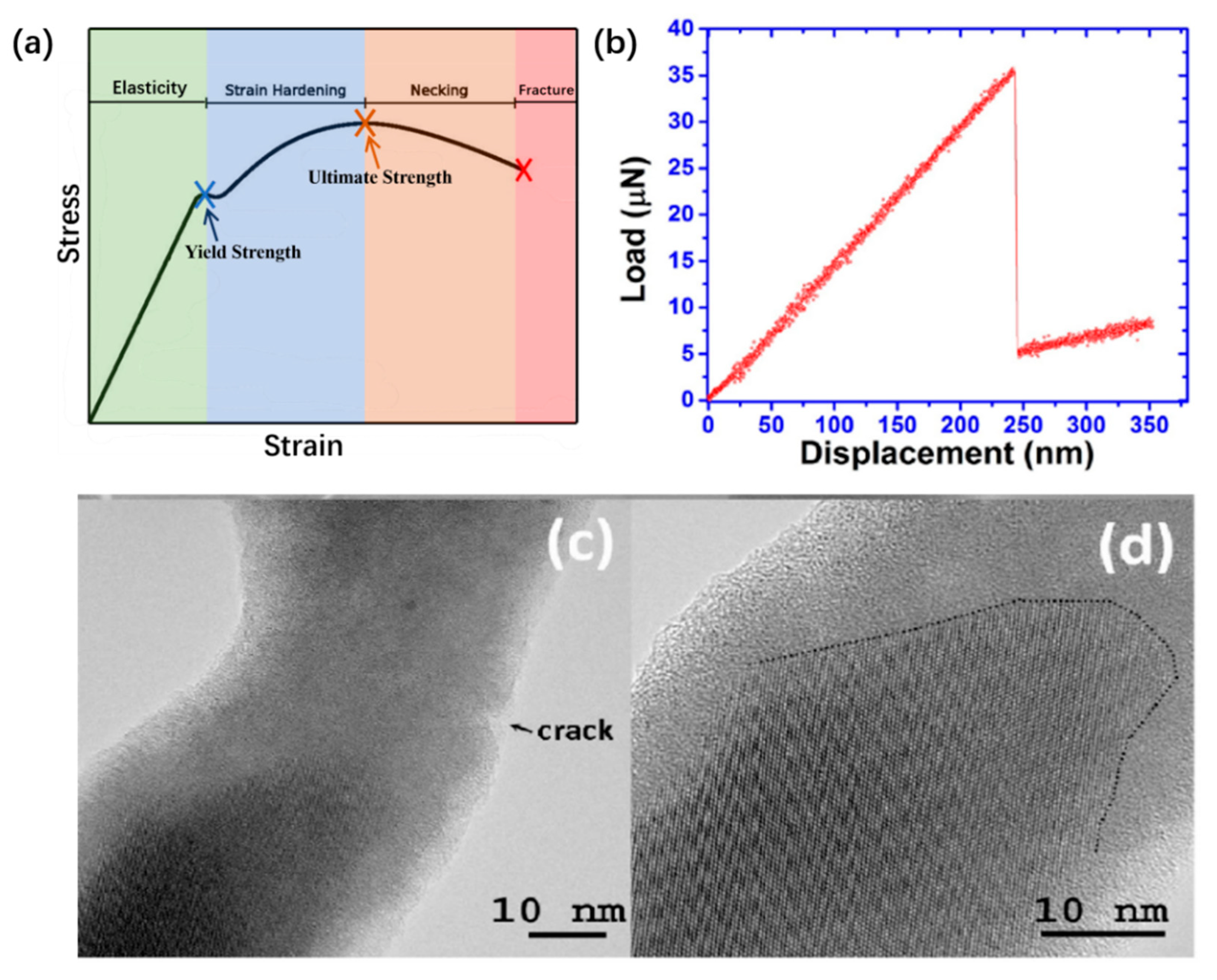 Nanomaterials 16 00356 g001