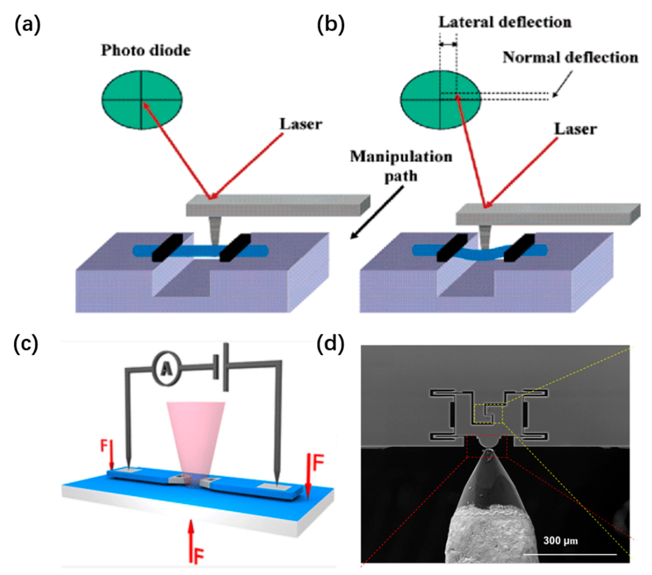 Nanomaterials 16 00356 g006