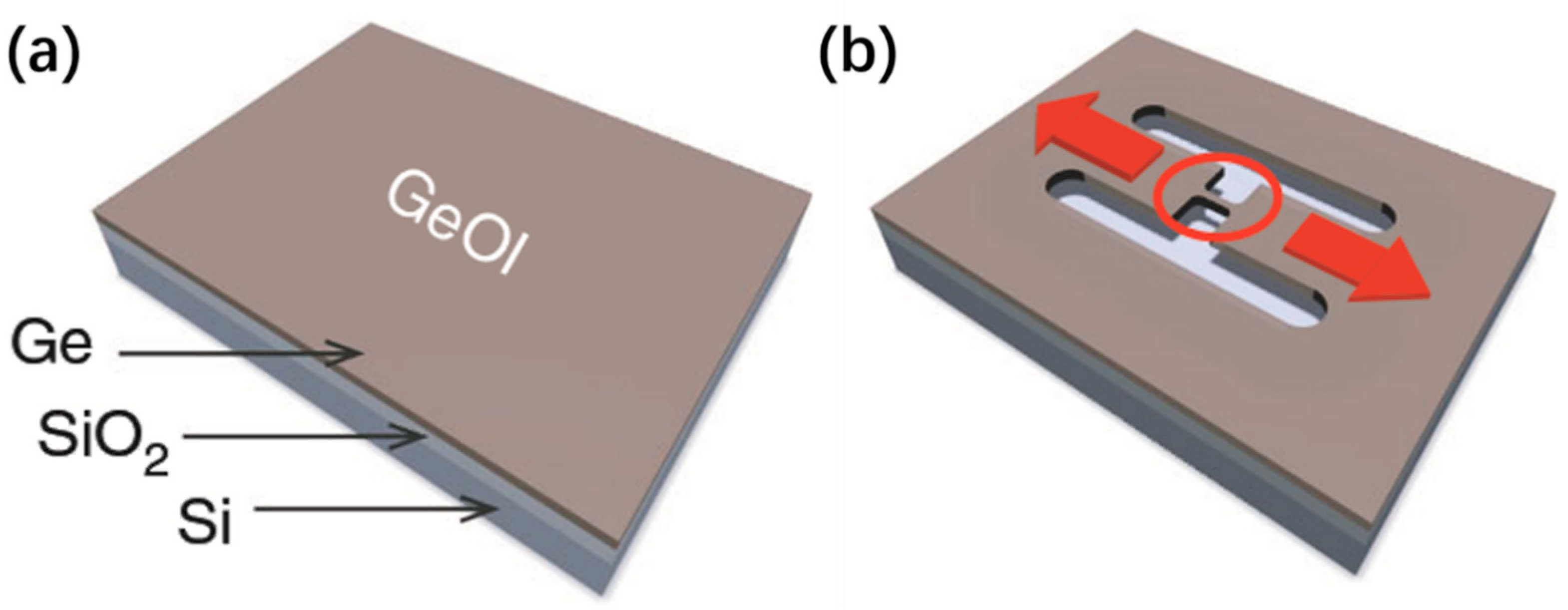 Nanomaterials 16 00356 g007