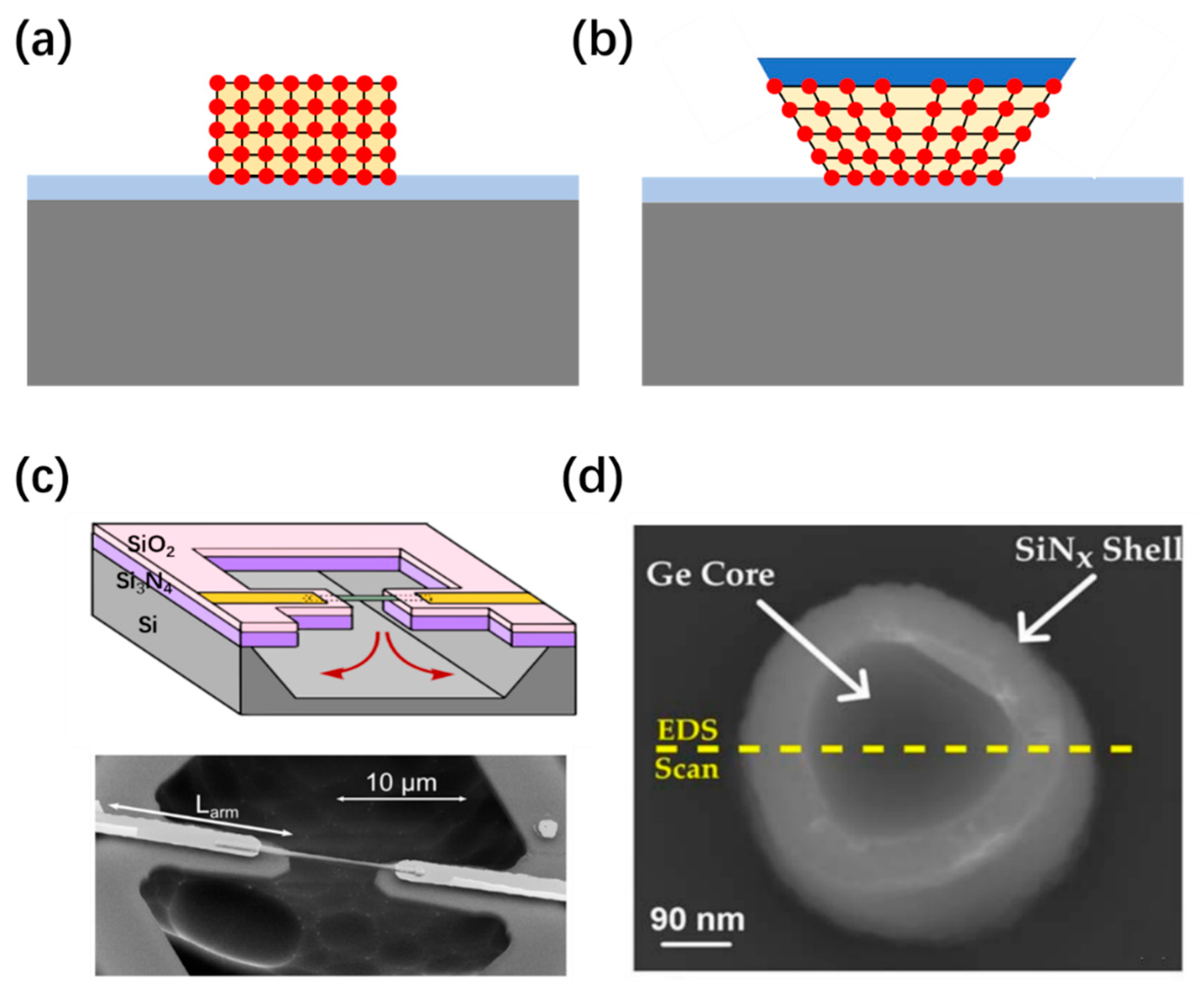 Nanomaterials 16 00356 g008