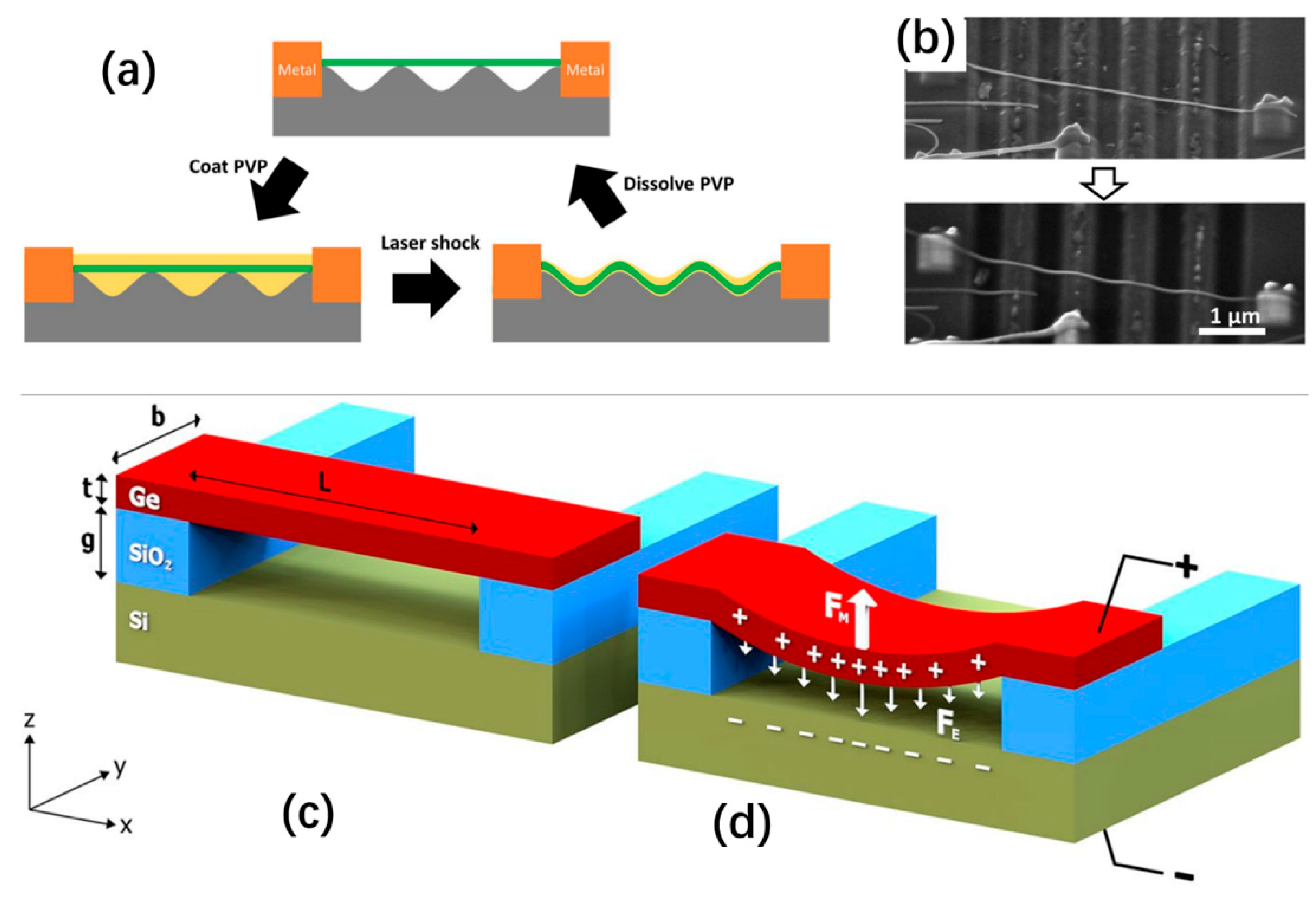 Nanomaterials 16 00356 g009