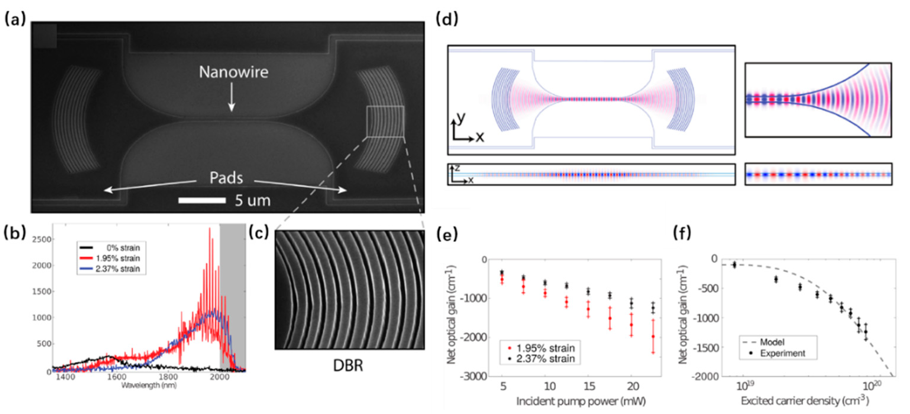 Nanomaterials 16 00356 g010