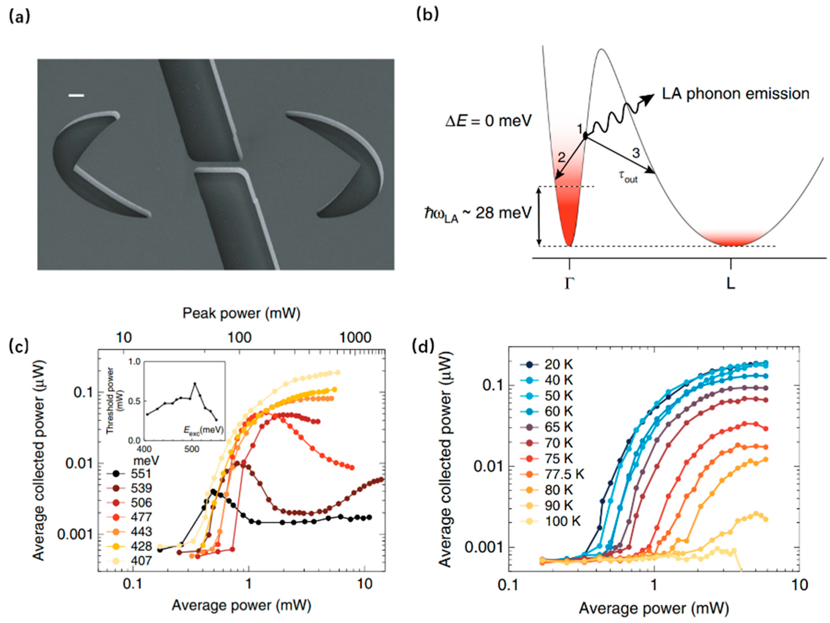 Nanomaterials 16 00356 g011