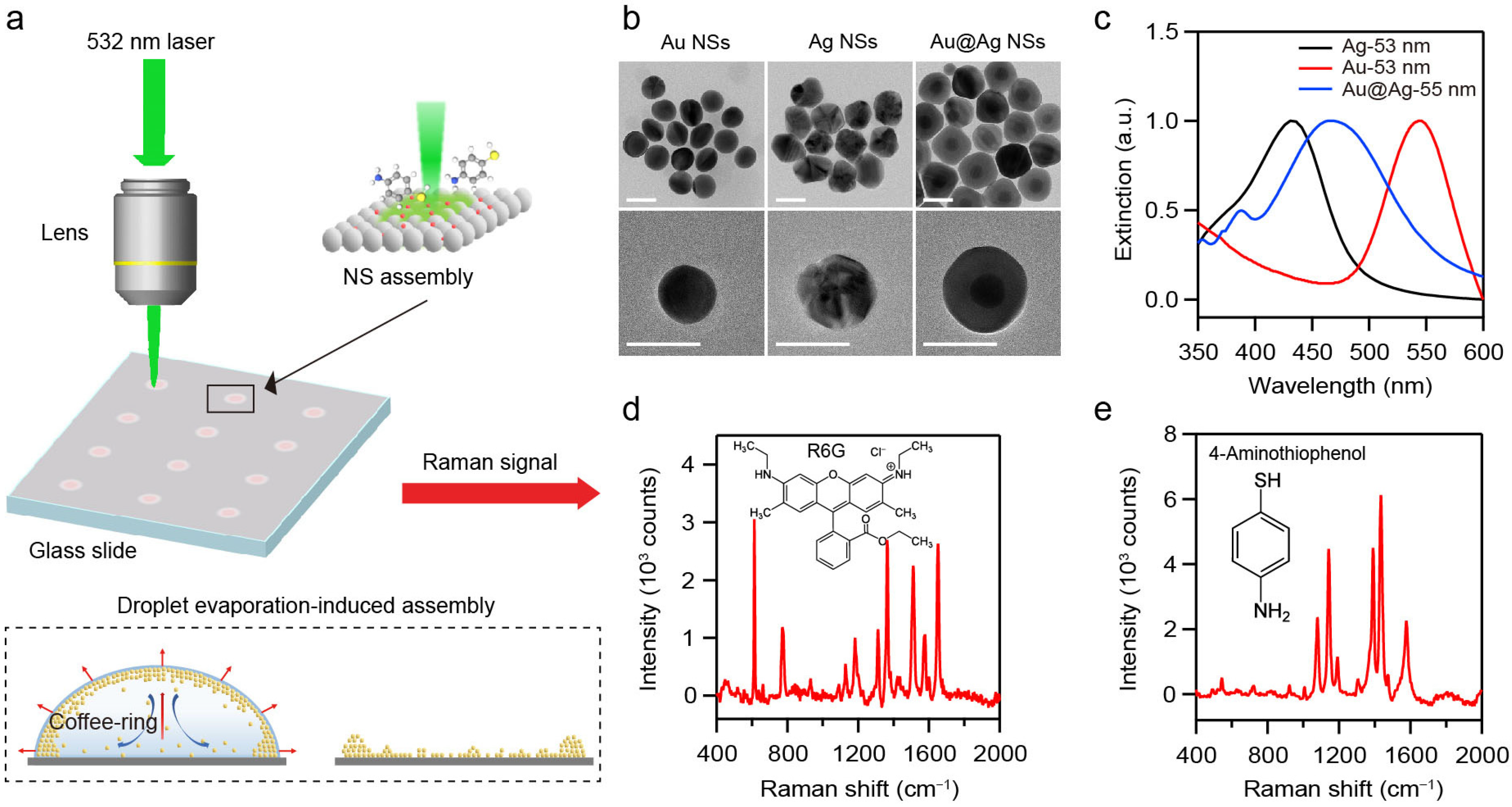 Nanomaterials 16 00385 g001