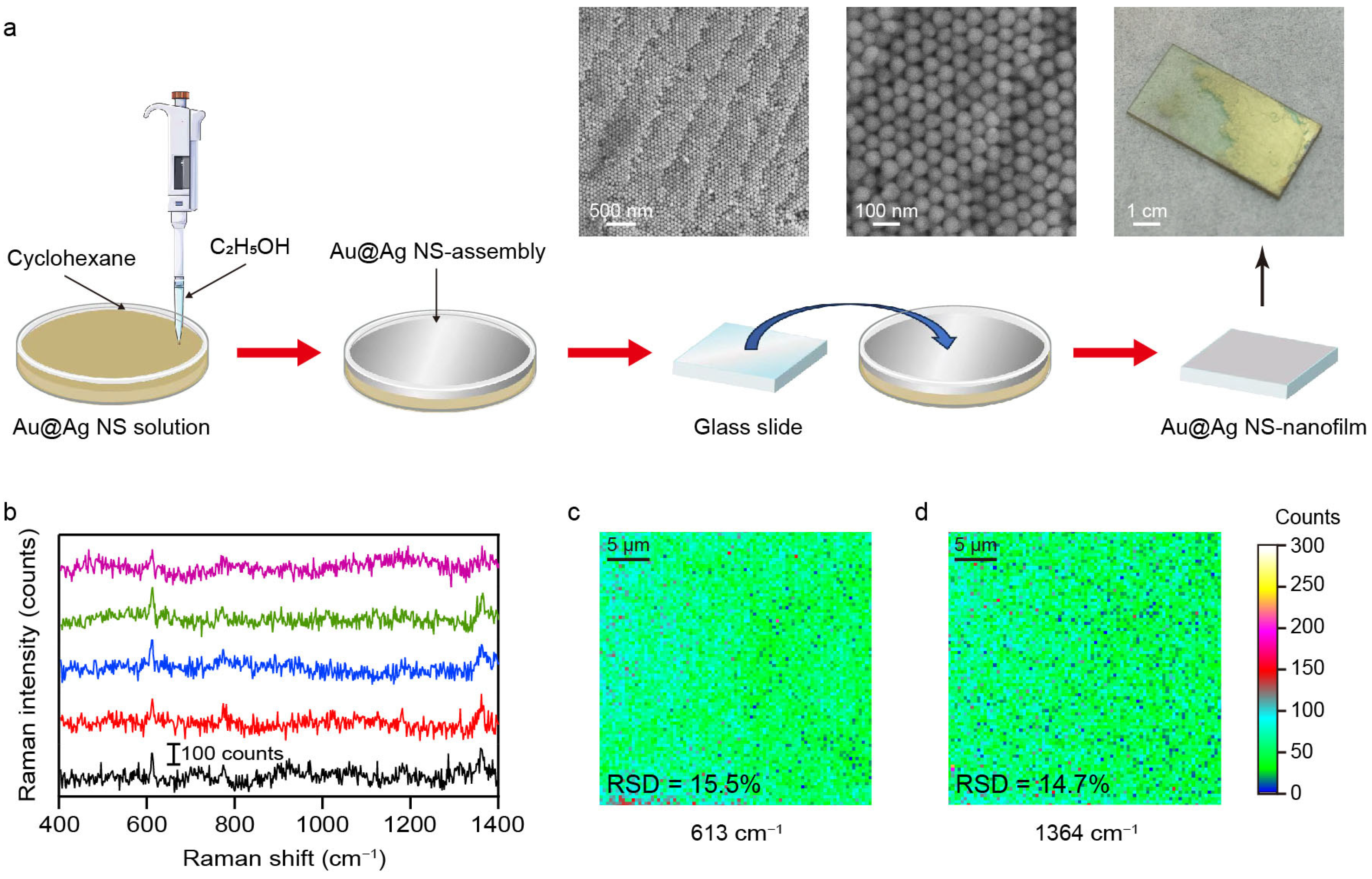 Nanomaterials 16 00385 g006
