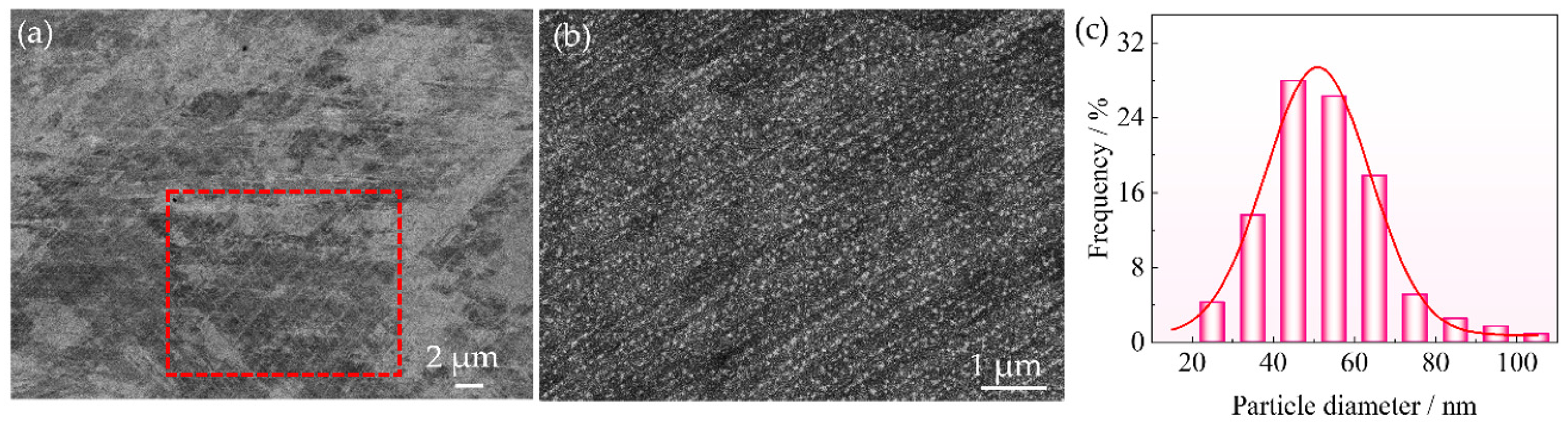 Nanomaterials 16 00418 g001 Nanomaterials 16 00418 g001