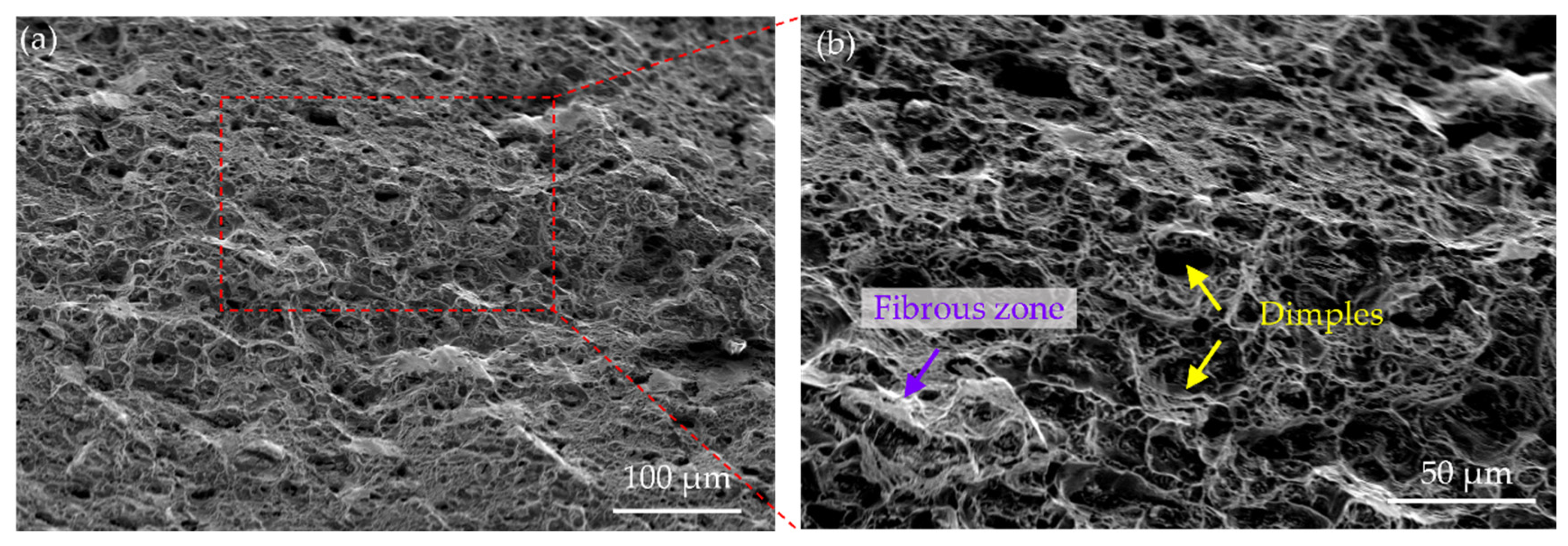 Nanomaterials 16 00418 g007 Nanomaterials 16 00418 g007