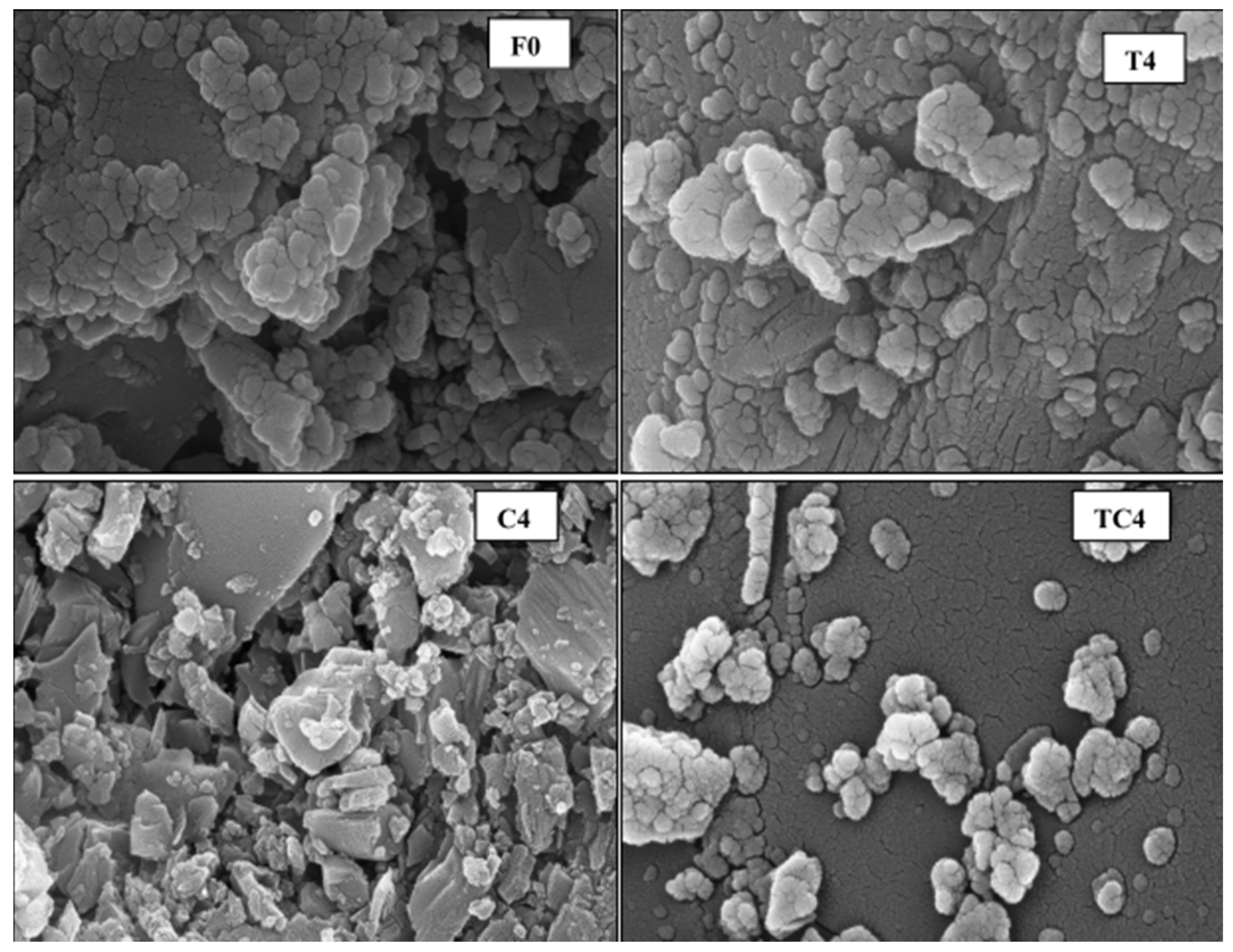 Nanomaterials 16 00426 g015 Nanomaterials 16 00426 g015