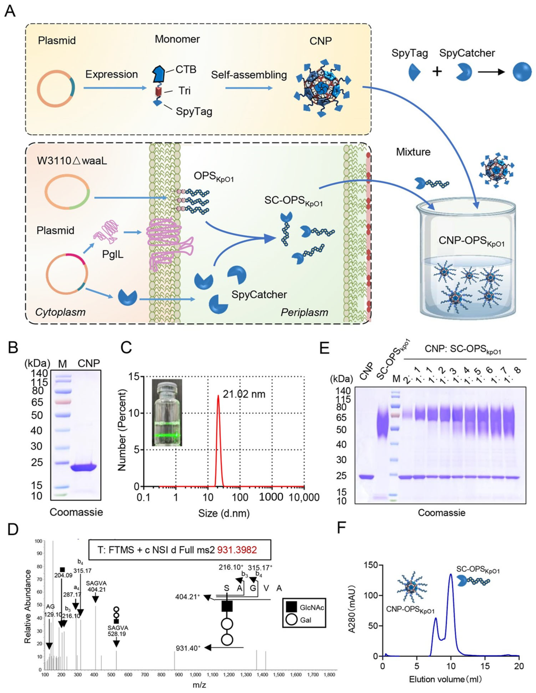 Nanomaterials 16 00428 g001 Nanomaterials 16 00428 g001