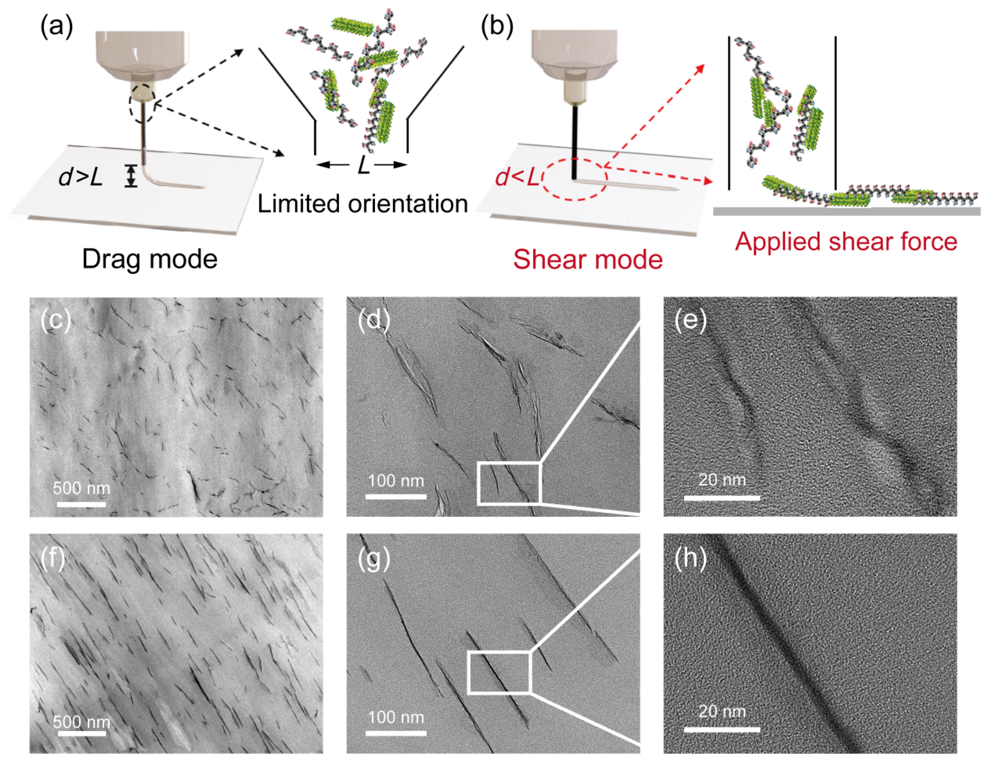 Nanomaterials 16 00432 g002 Nanomaterials 16 00432 g002