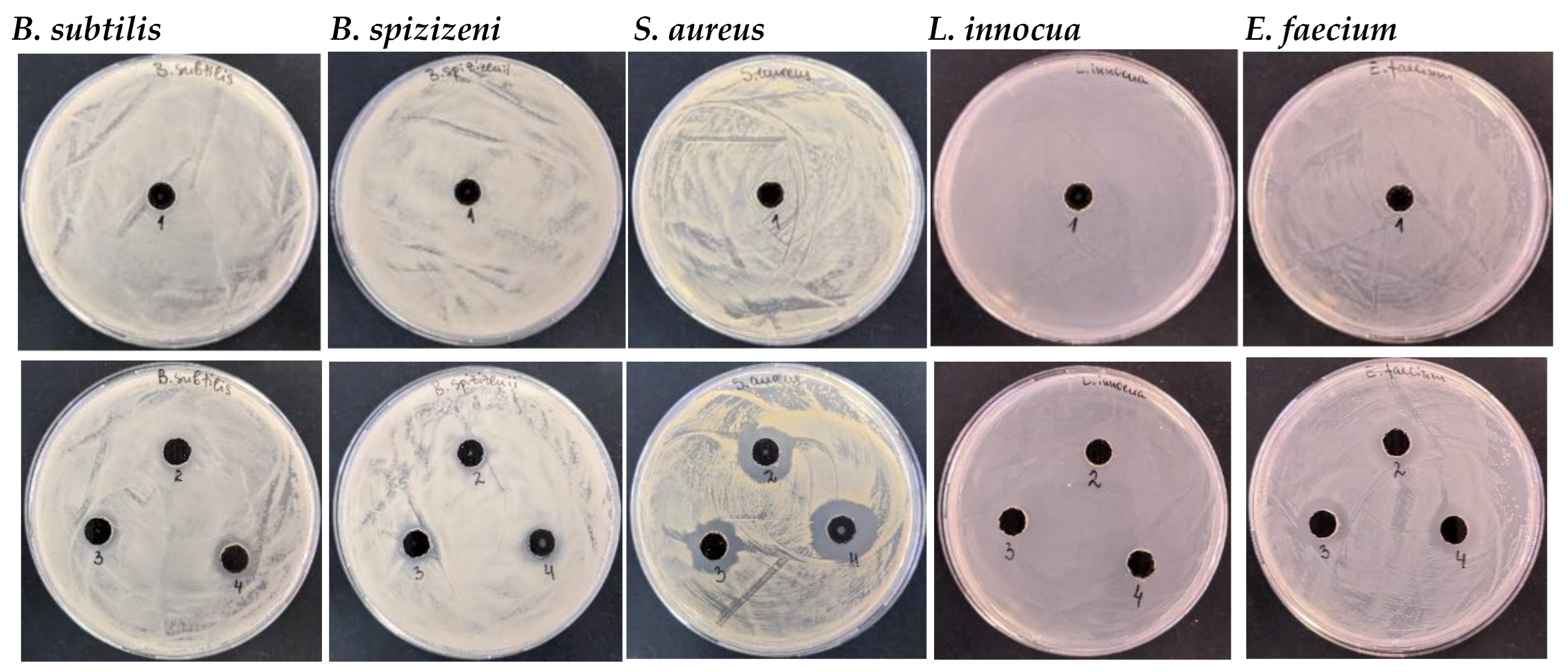 Nanomaterials 16 00437 g007 Nanomaterials 16 00437 g007