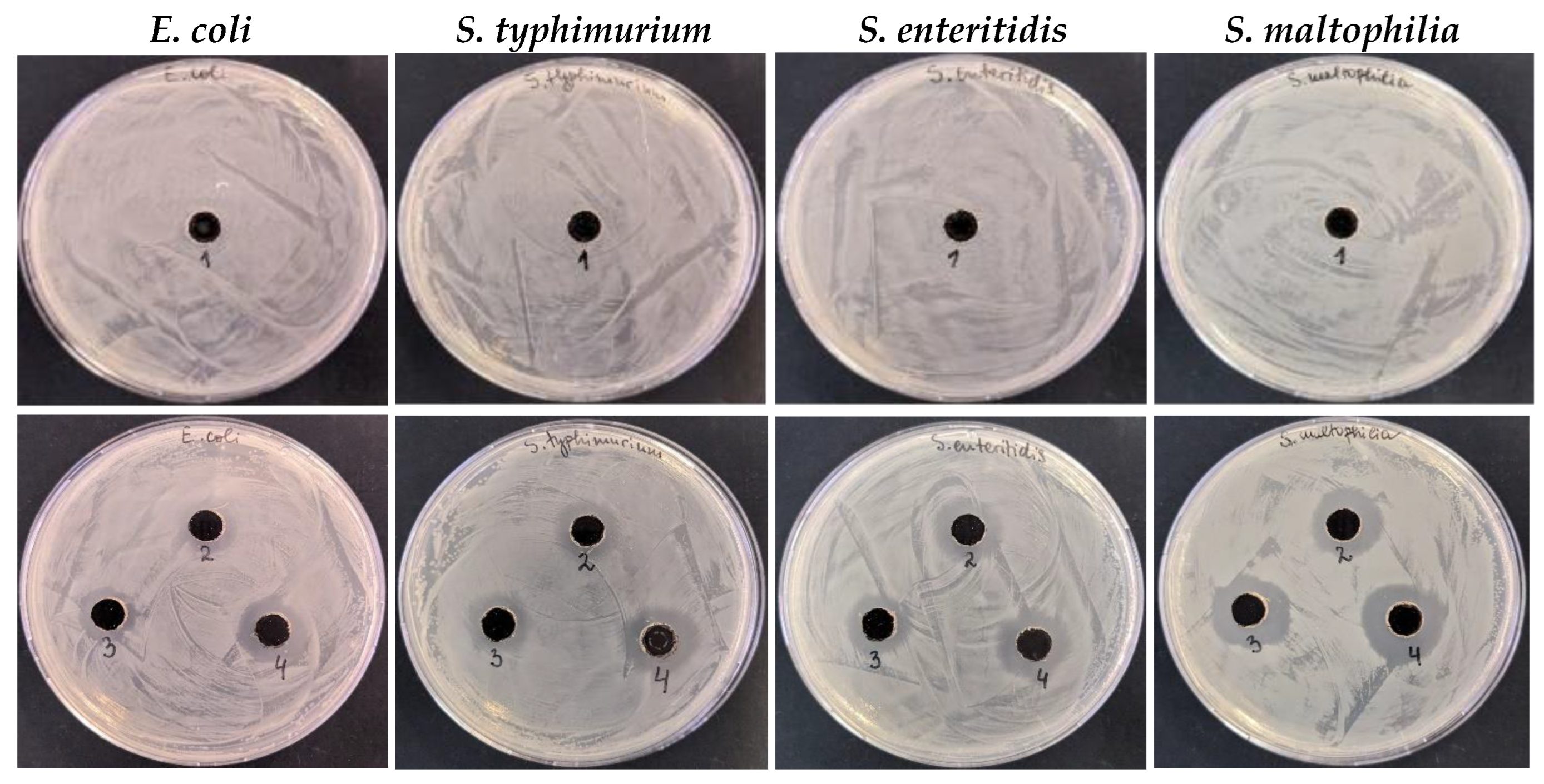 Nanomaterials 16 00437 g008 Nanomaterials 16 00437 g008