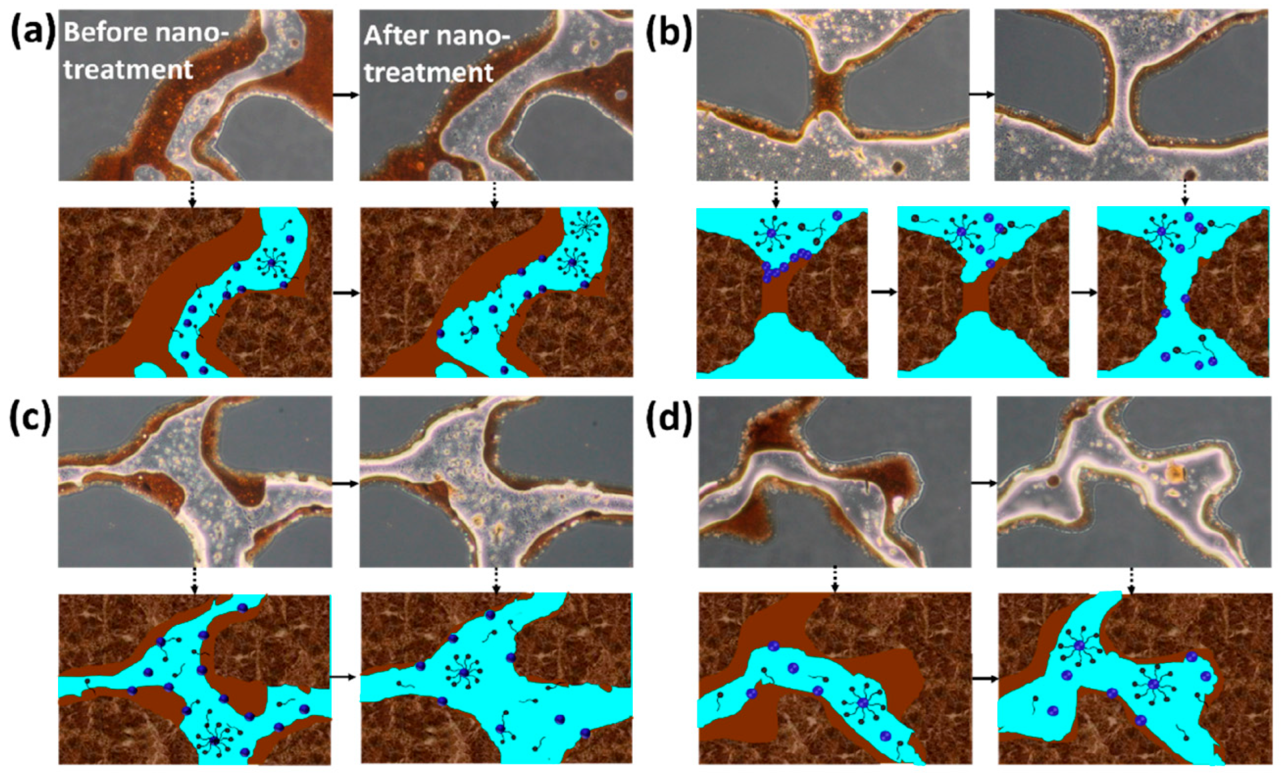 Nanomaterials 16 00464 g002 Nanomaterials 16 00464 g002