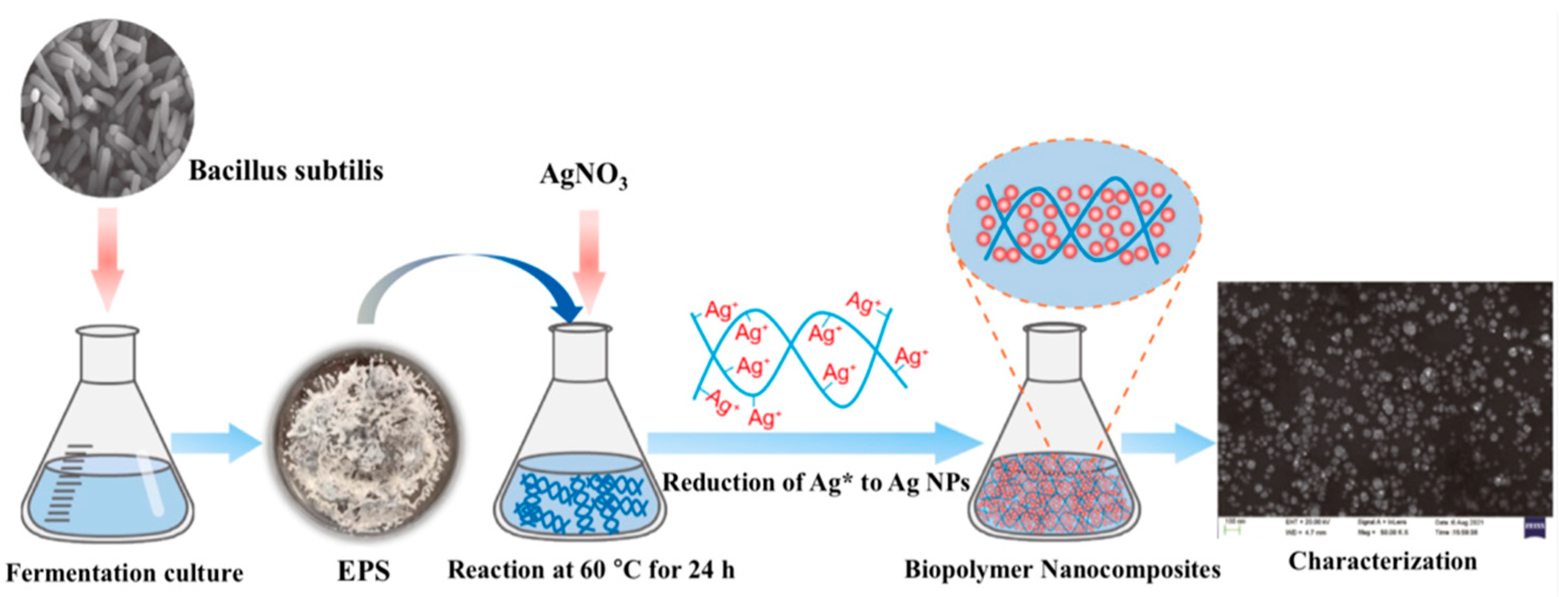 Nanomaterials 16 00464 g004 Nanomaterials 16 00464 g004