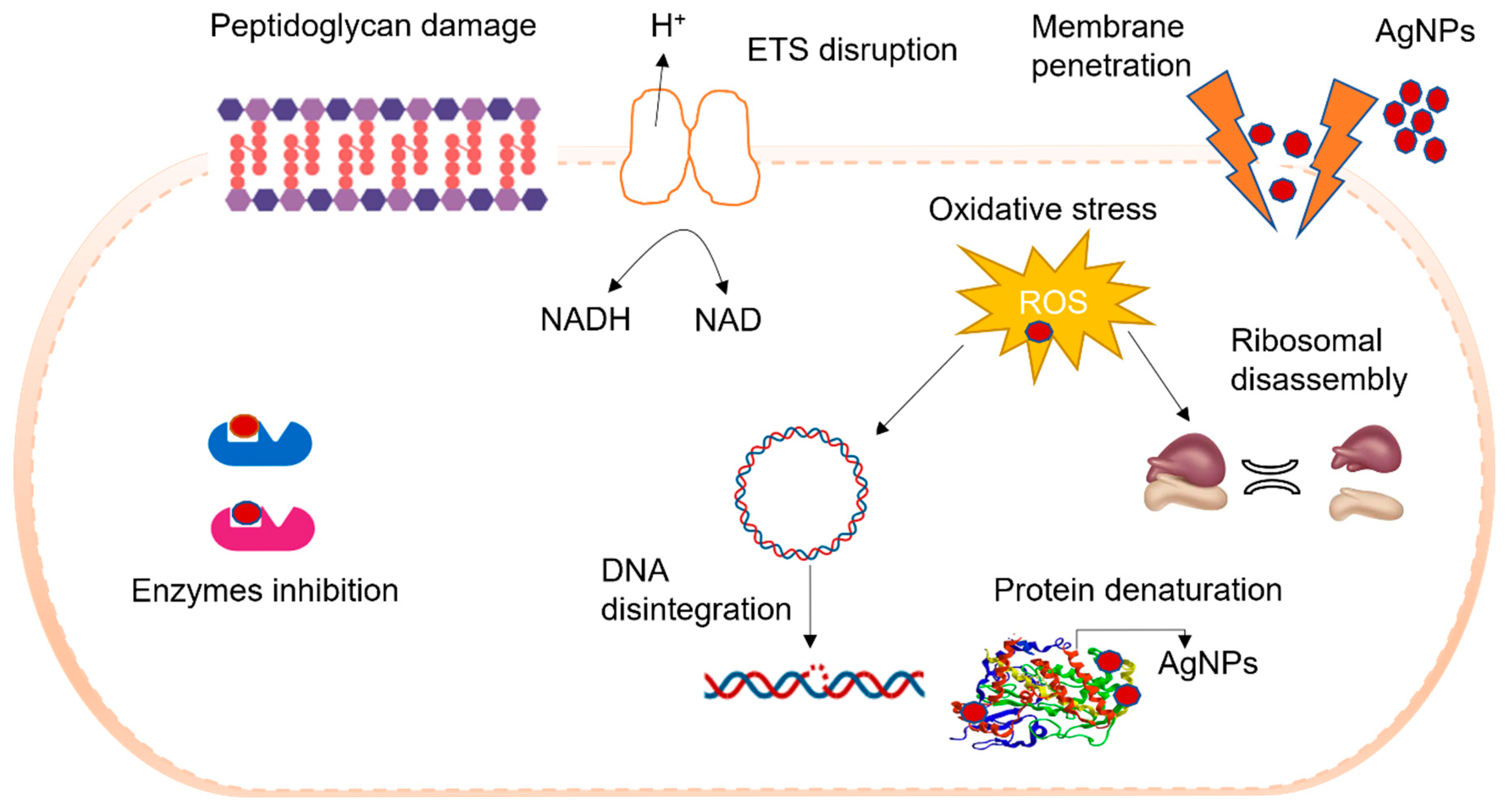 Nanomaterials 16 00470 g003 Nanomaterials 16 00470 g003