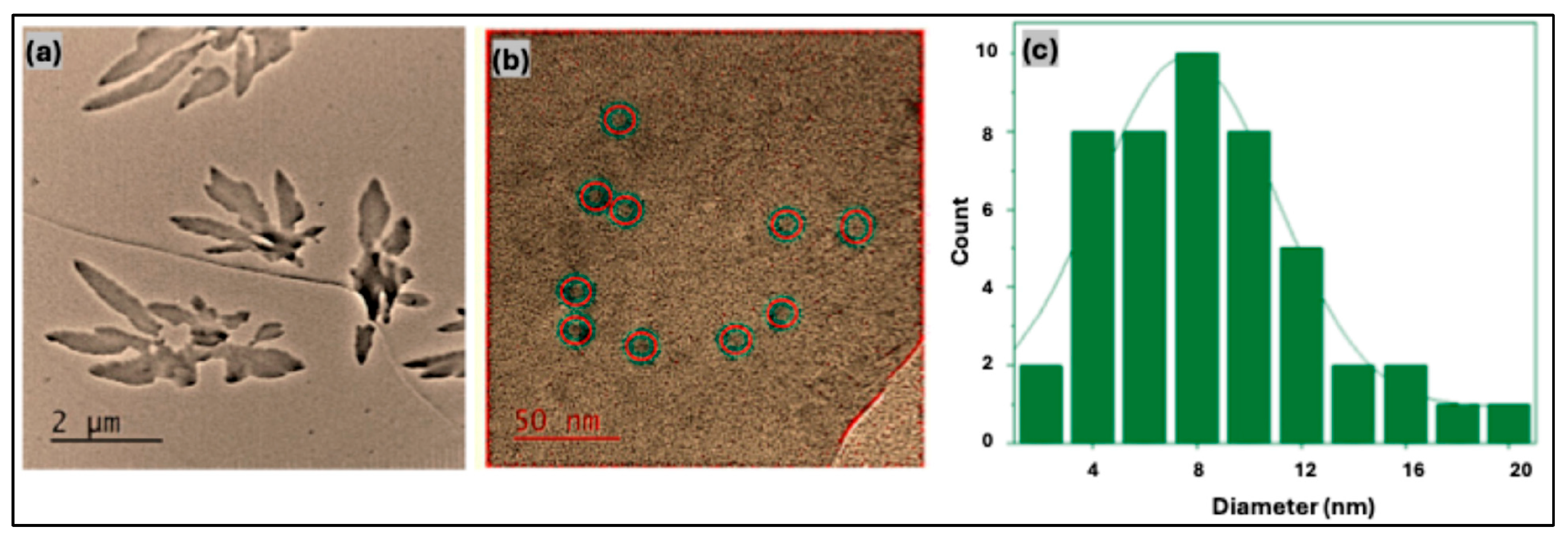 Nanomaterials 16 00482 g003