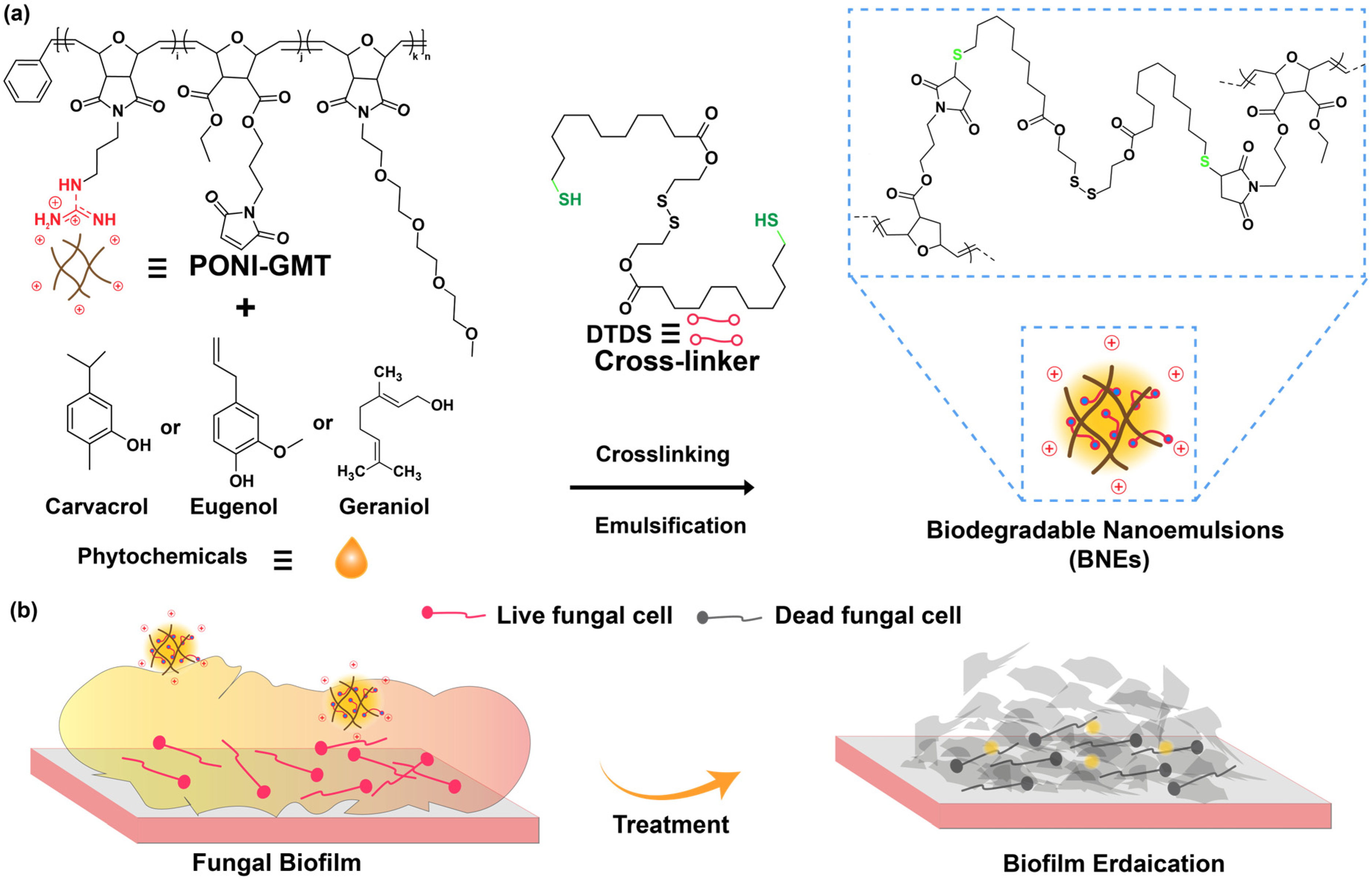 Nanomaterials 16 00574 g001 Nanomaterials 16 00574 g001