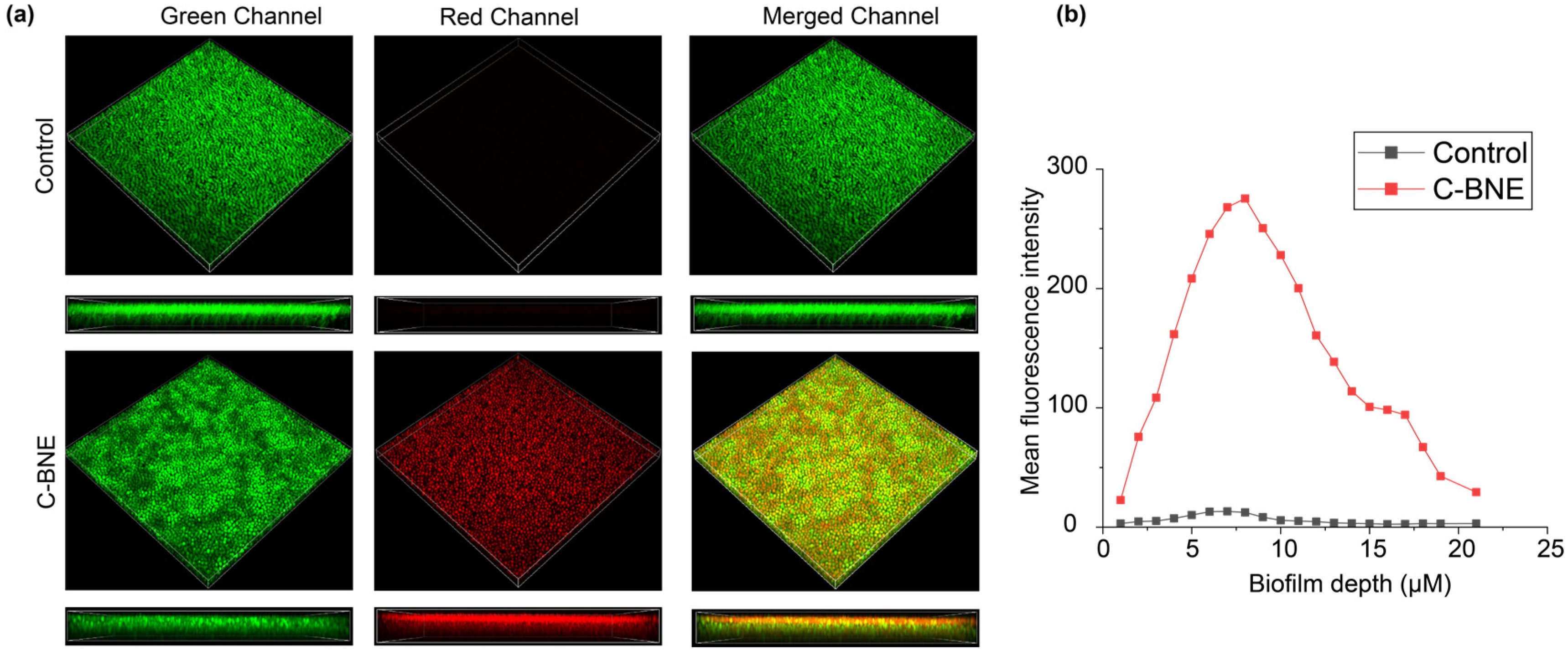 Nanomaterials 16 00574 g003 Nanomaterials 16 00574 g003