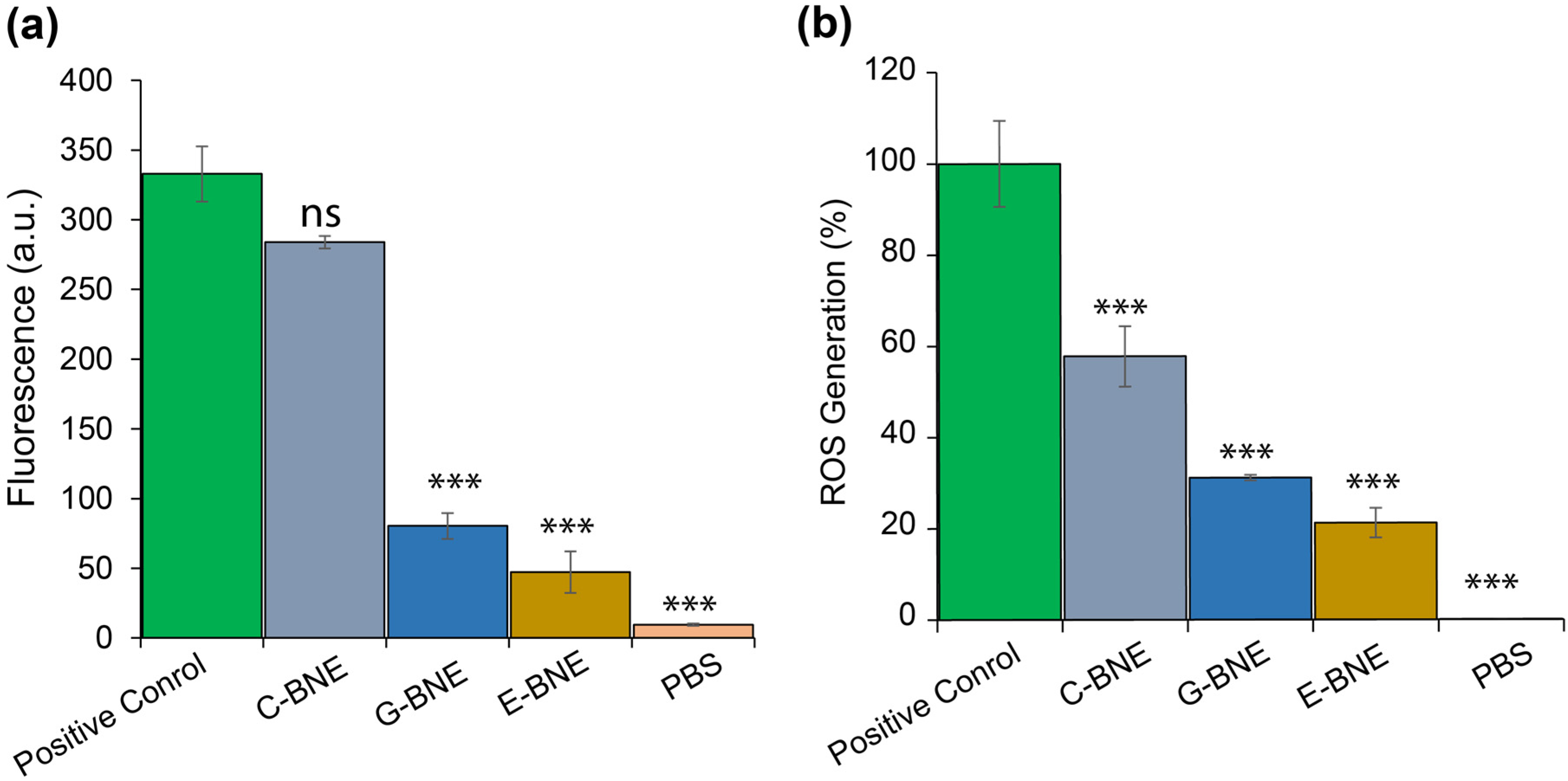 Nanomaterials 16 00574 g005 Nanomaterials 16 00574 g005