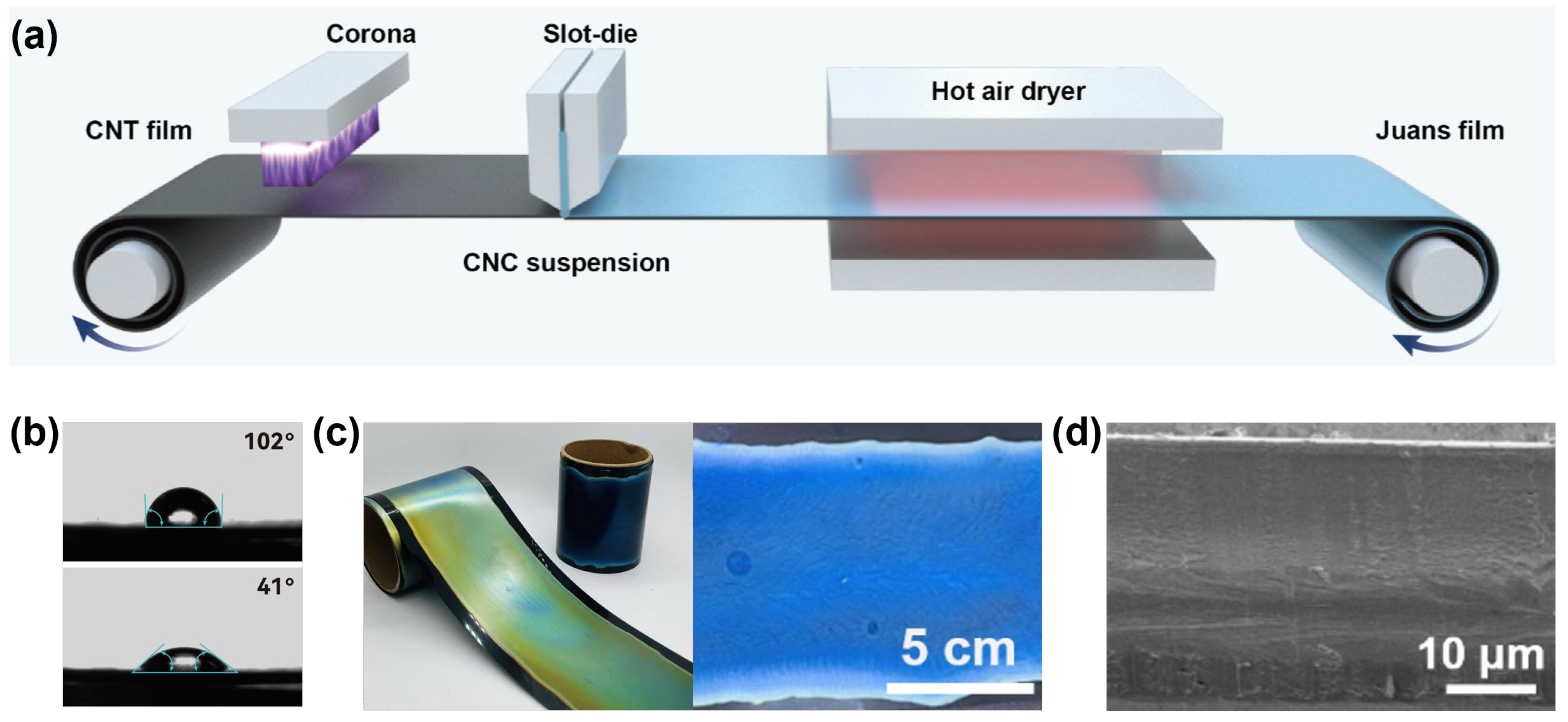 Nanomaterials 16 00603 g002 Nanomaterials 16 00603 g002