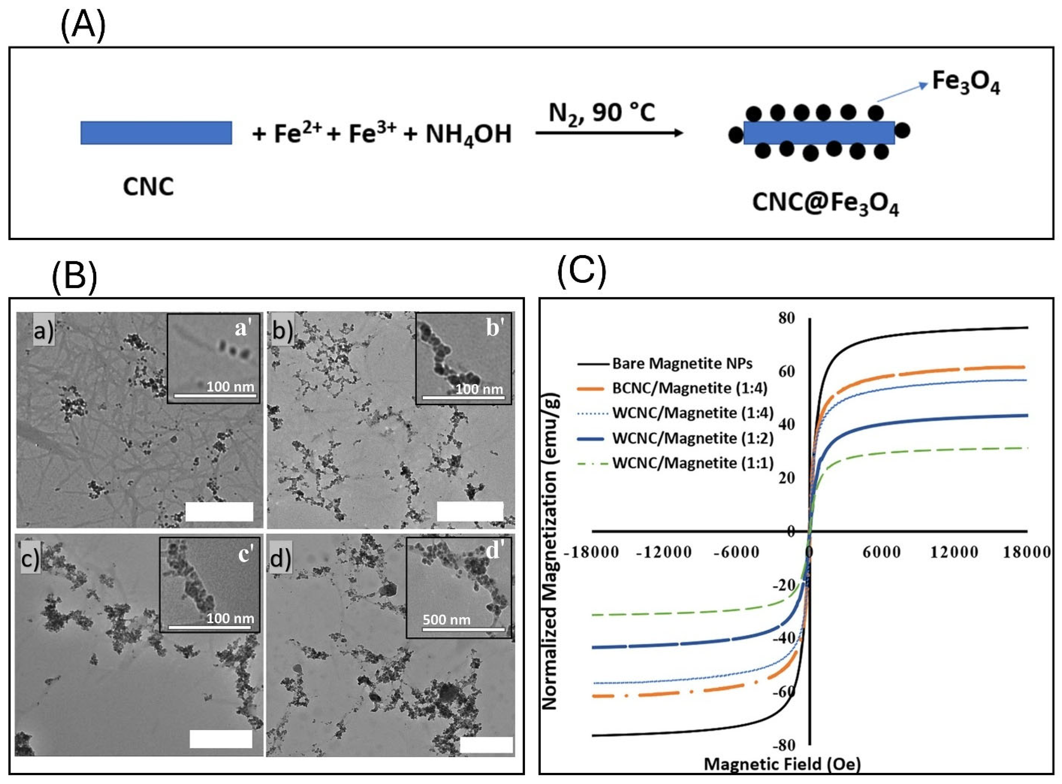 Nanomaterials 16 00645 g005 Nanomaterials 16 00645 g005