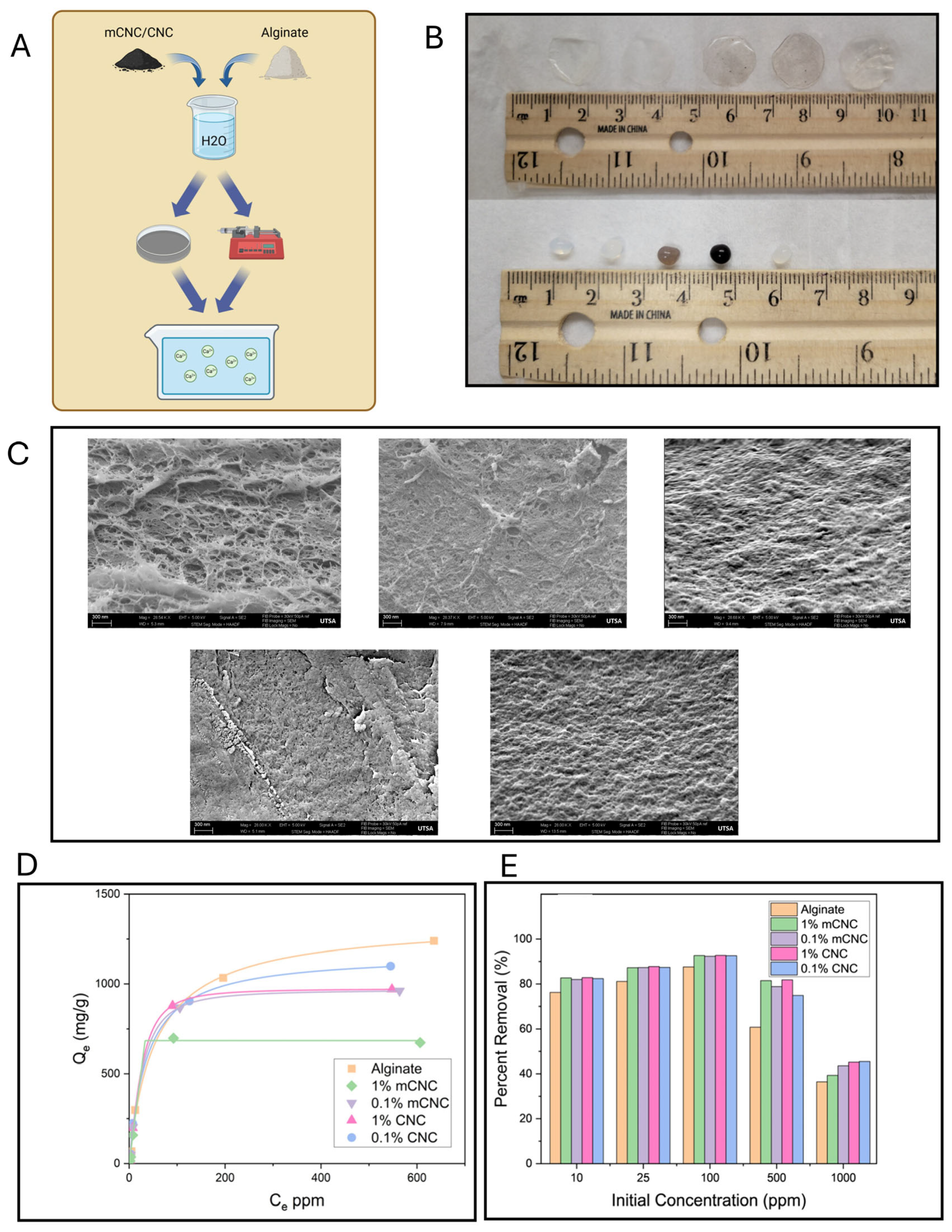 Nanomaterials 16 00645 g007 Nanomaterials 16 00645 g007