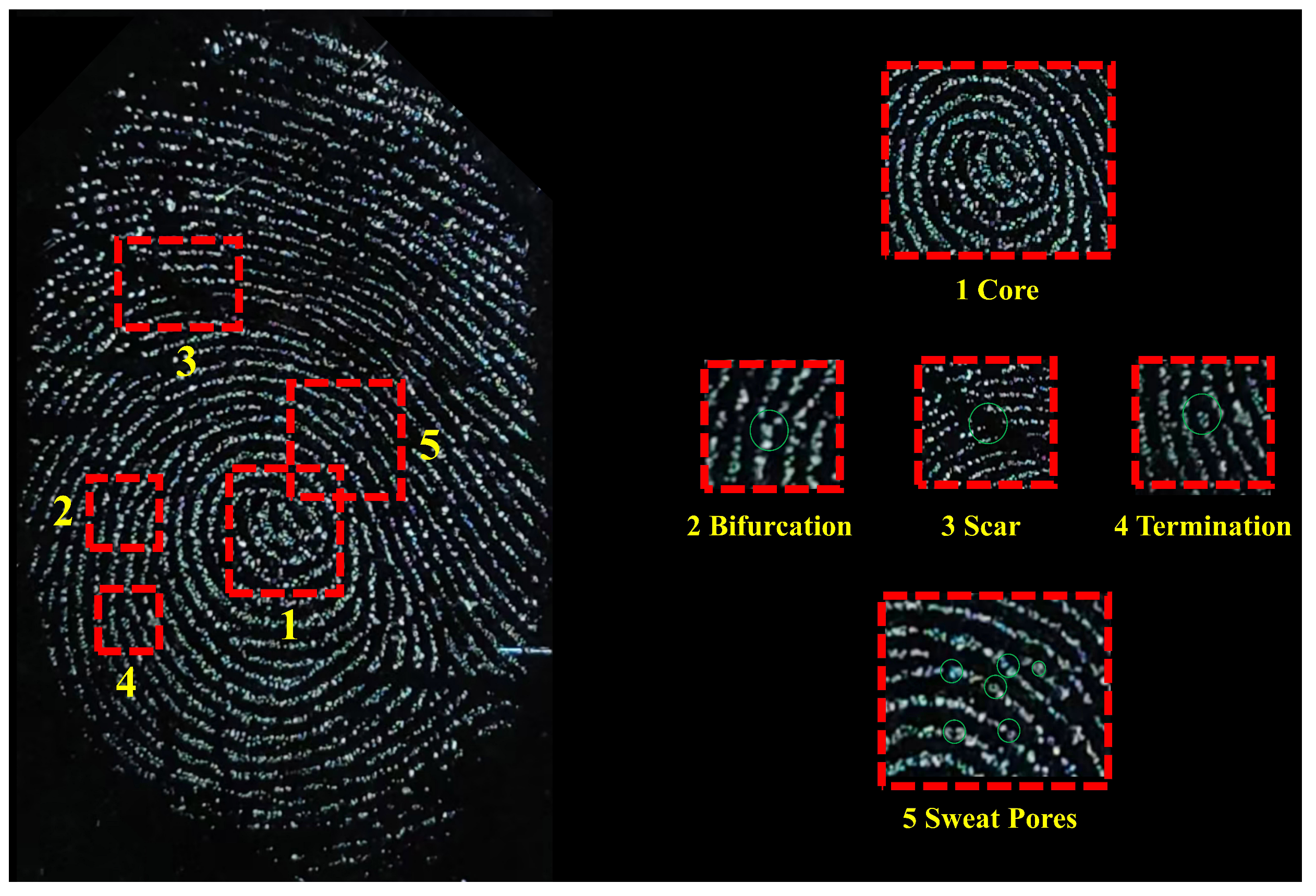 Nanomaterials 16 00649 g002 Nanomaterials 16 00649 g002
