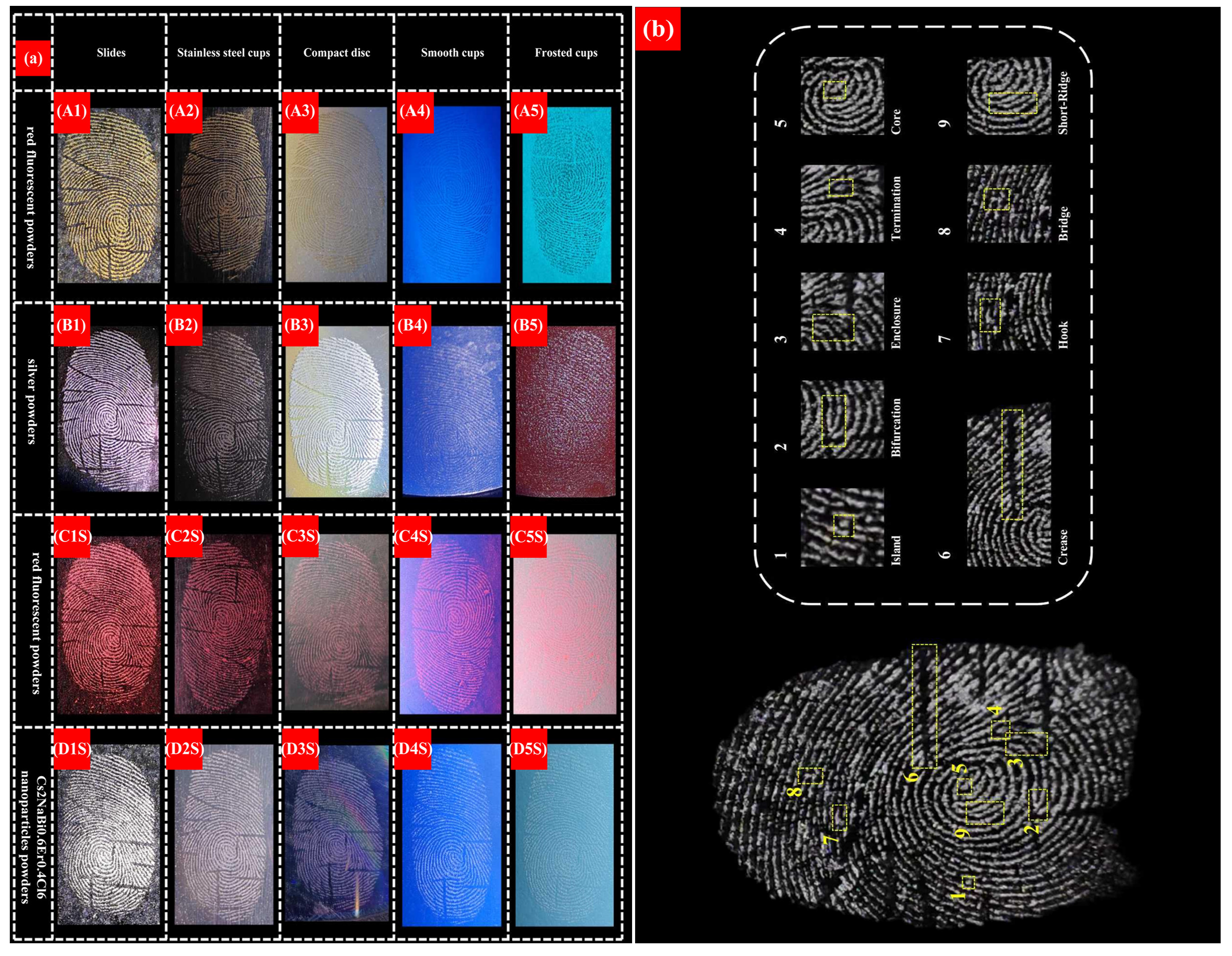 Nanomaterials 16 00649 g005 Nanomaterials 16 00649 g005