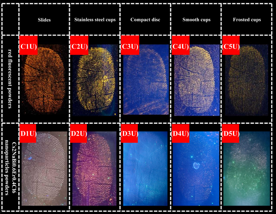 Nanomaterials 16 00649 g006 Nanomaterials 16 00649 g006