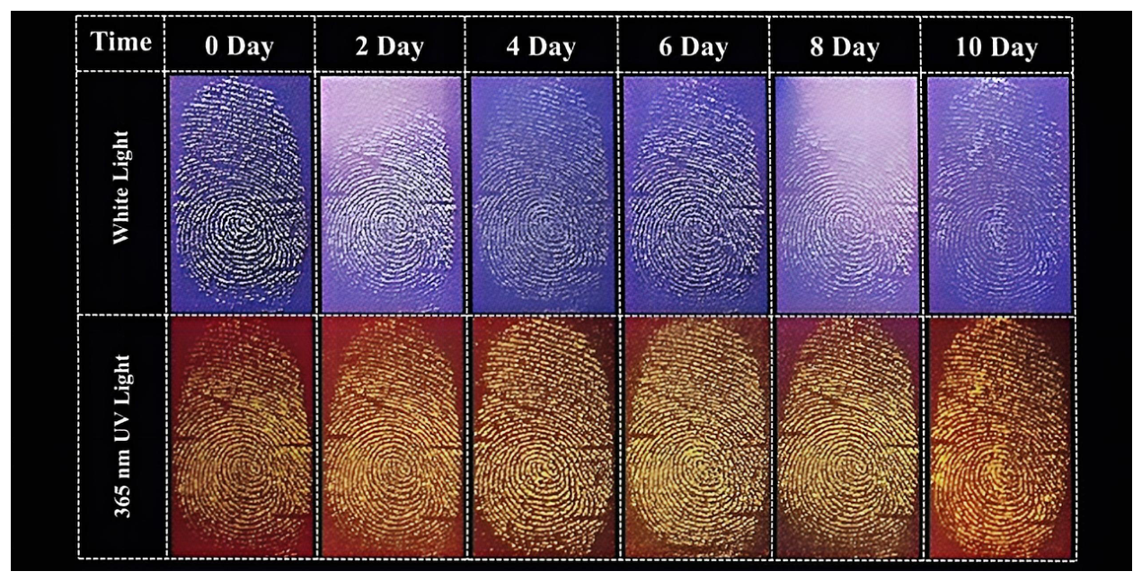 Nanomaterials 16 00649 g011 Nanomaterials 16 00649 g011