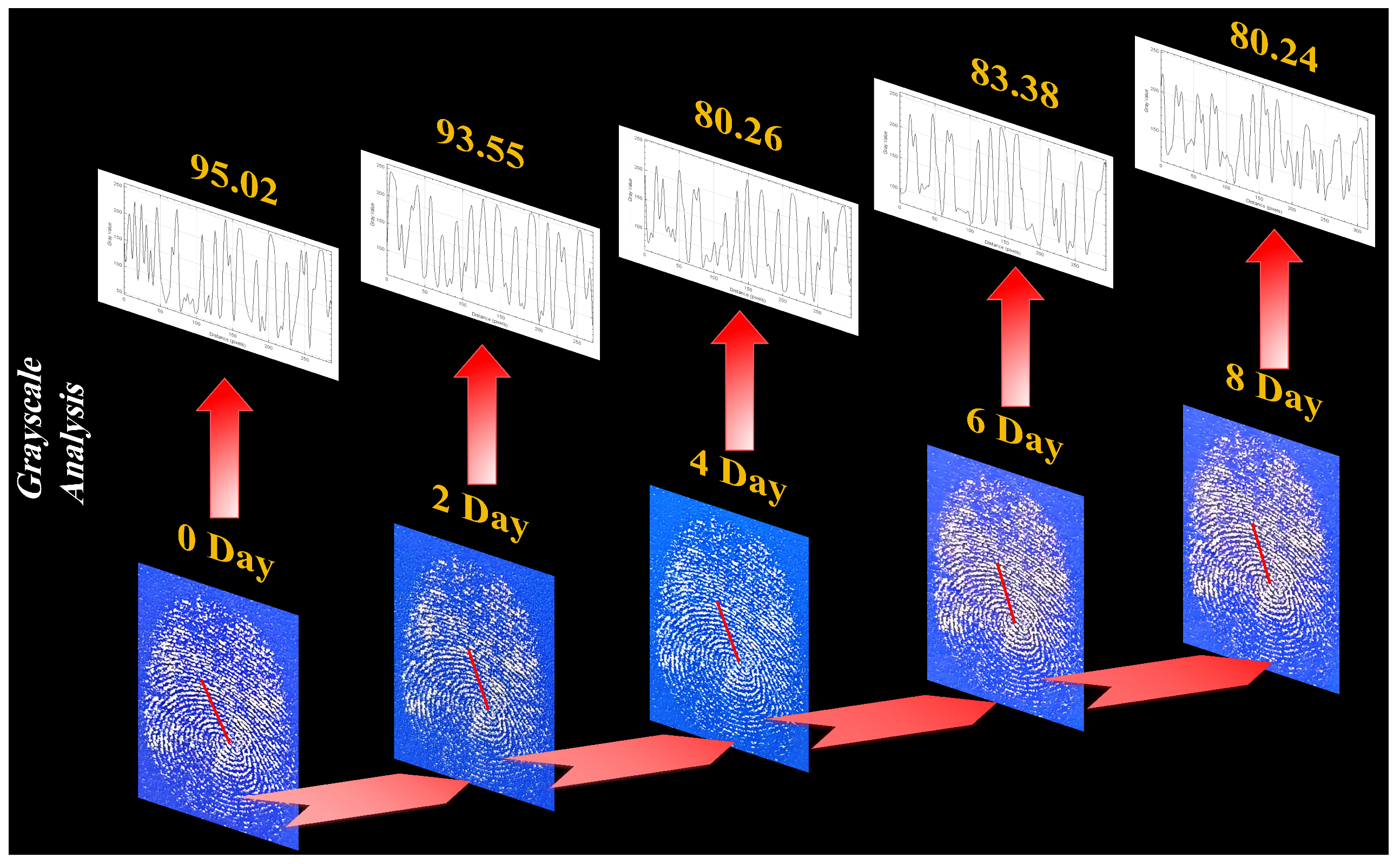 Nanomaterials 16 00649 g013 Nanomaterials 16 00649 g013