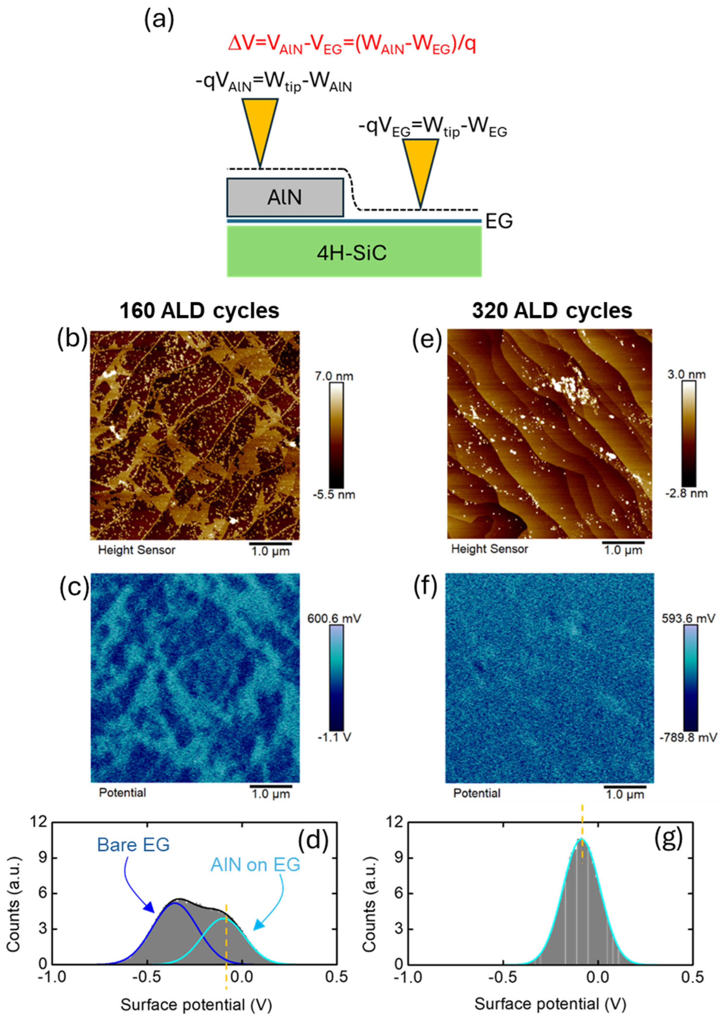 Nanomaterials 16 00659 g006 Nanomaterials 16 00659 g006
