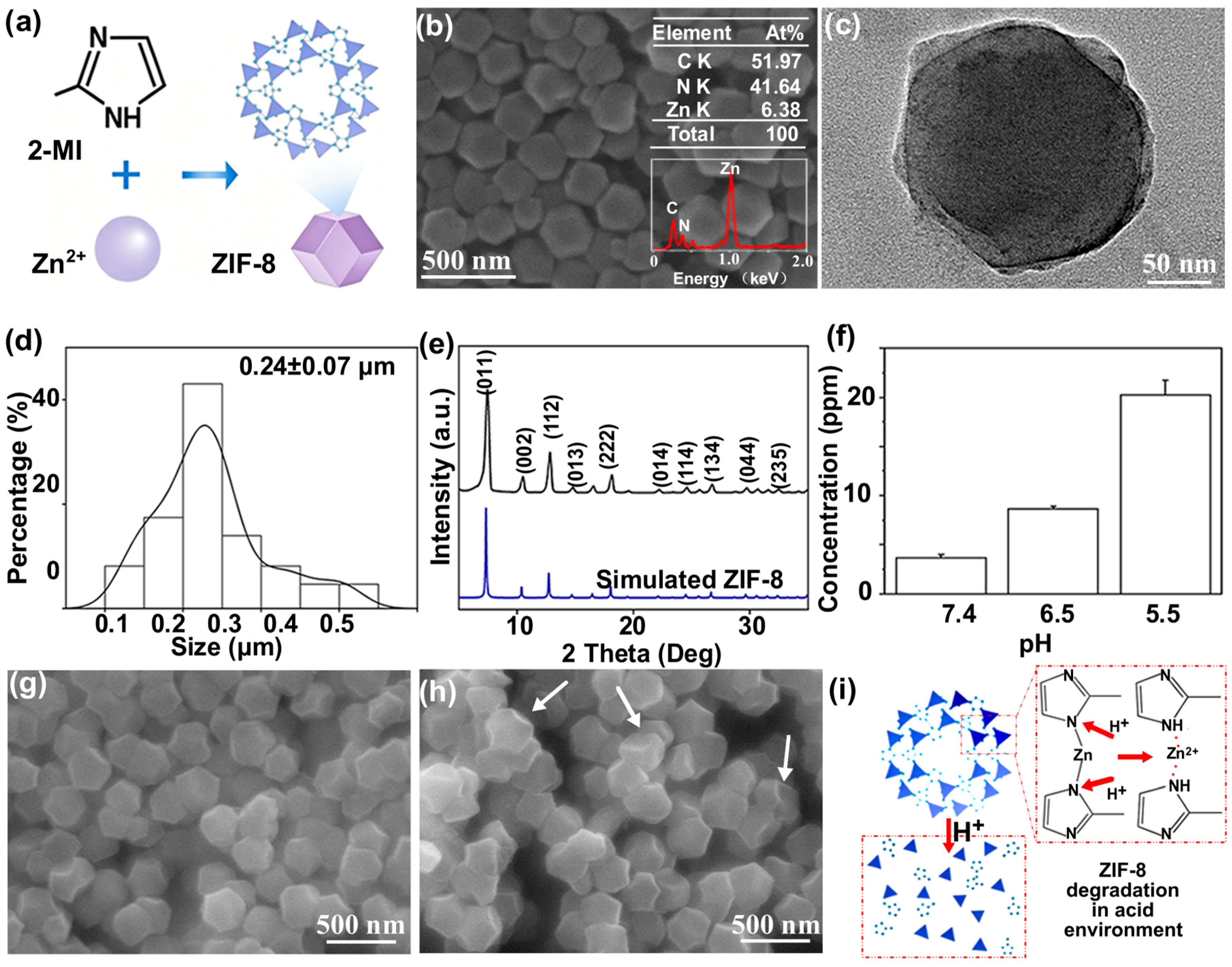 Nanomaterials 16 00672 g001 Nanomaterials 16 00672 g001