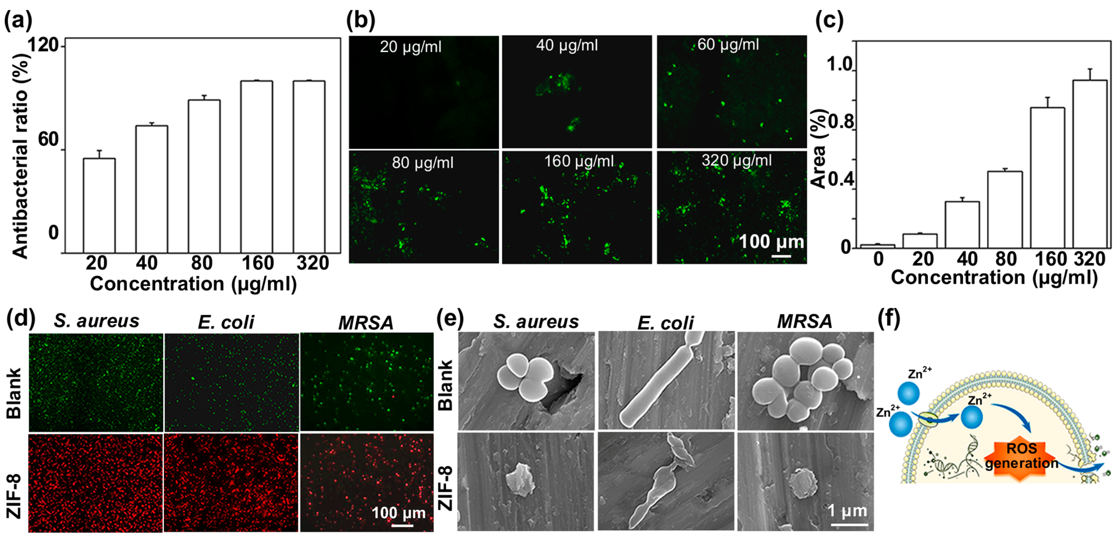Nanomaterials 16 00672 g002 Nanomaterials 16 00672 g002