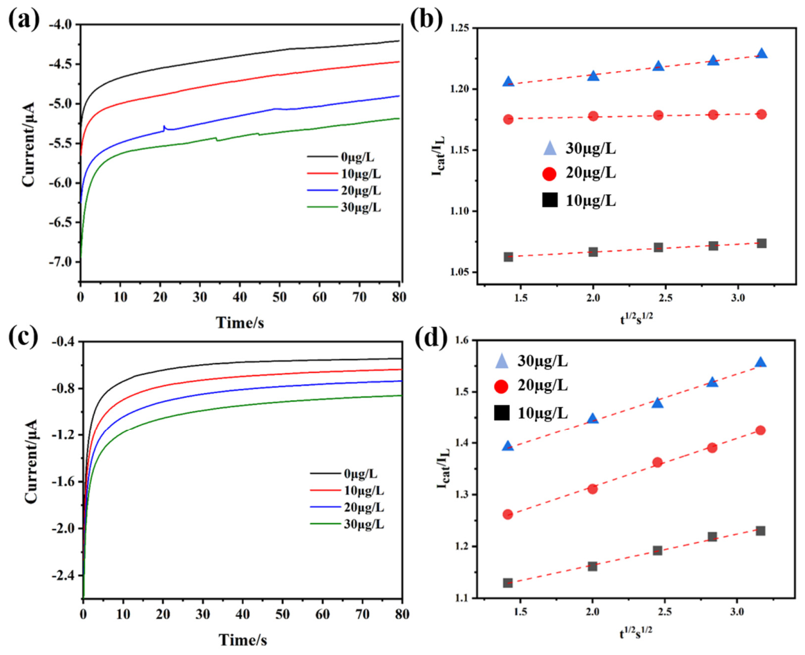 Nanomaterials 16 00708 g006 Nanomaterials 16 00708 g006