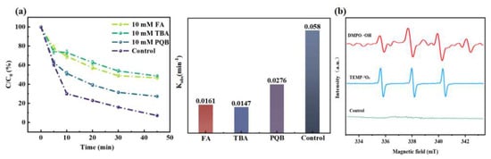 Nanomaterials 16 00722 g005