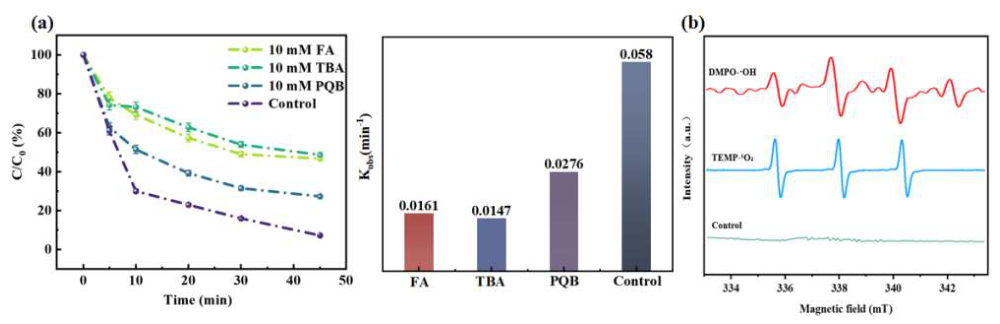 Nanomaterials 16 00722 g005 Nanomaterials 16 00722 g005