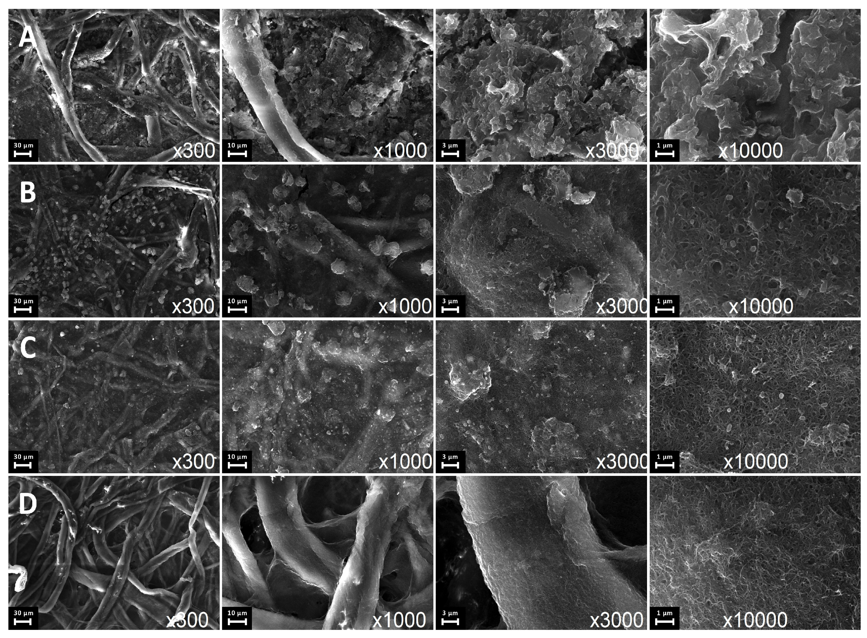 Nanomaterials 16 00735 g005 Nanomaterials 16 00735 g005