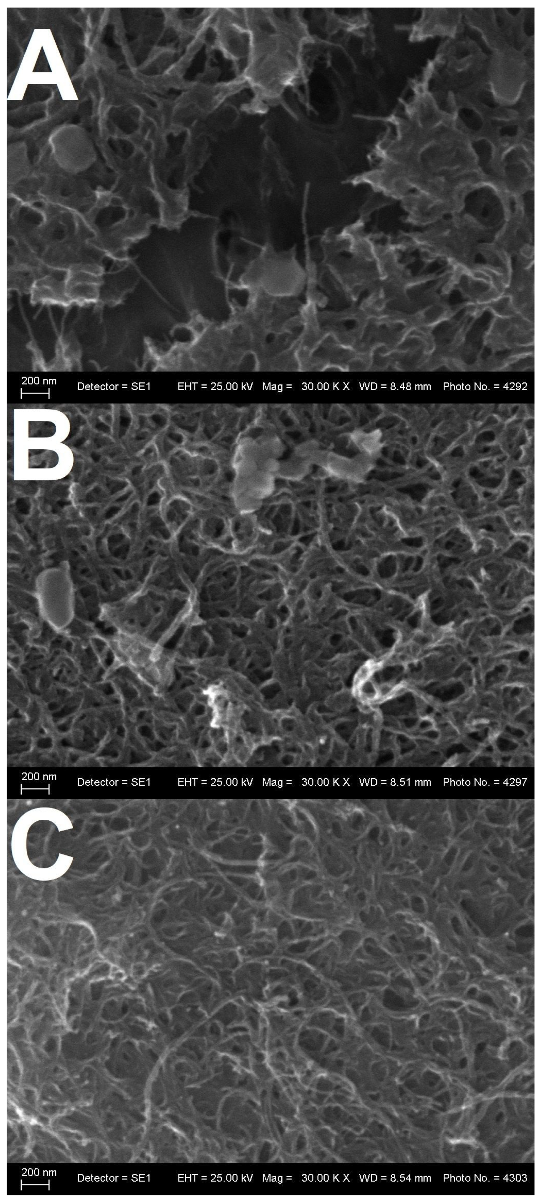 Nanomaterials 16 00735 g006 Nanomaterials 16 00735 g006