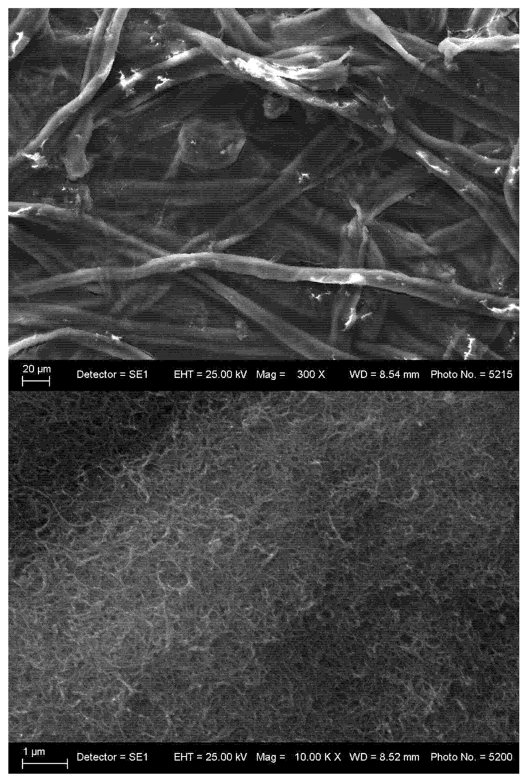 Nanomaterials 16 00735 g015 Nanomaterials 16 00735 g015