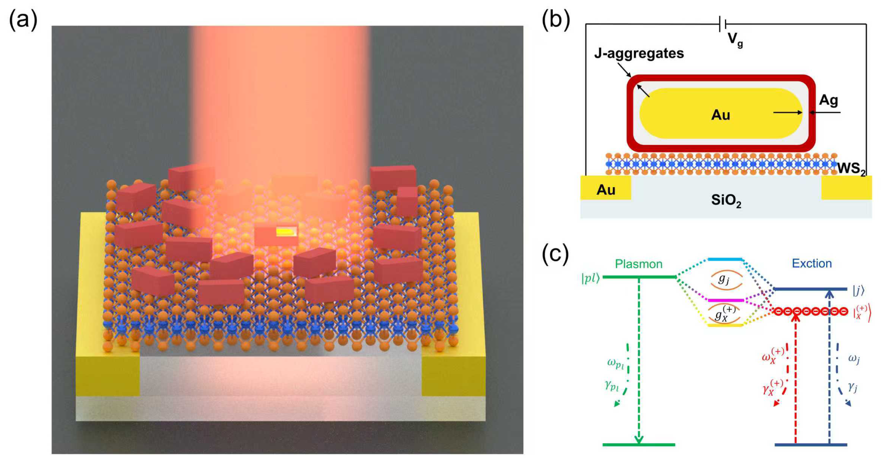 Nanomaterials 16 00758 g001 Nanomaterials 16 00758 g001