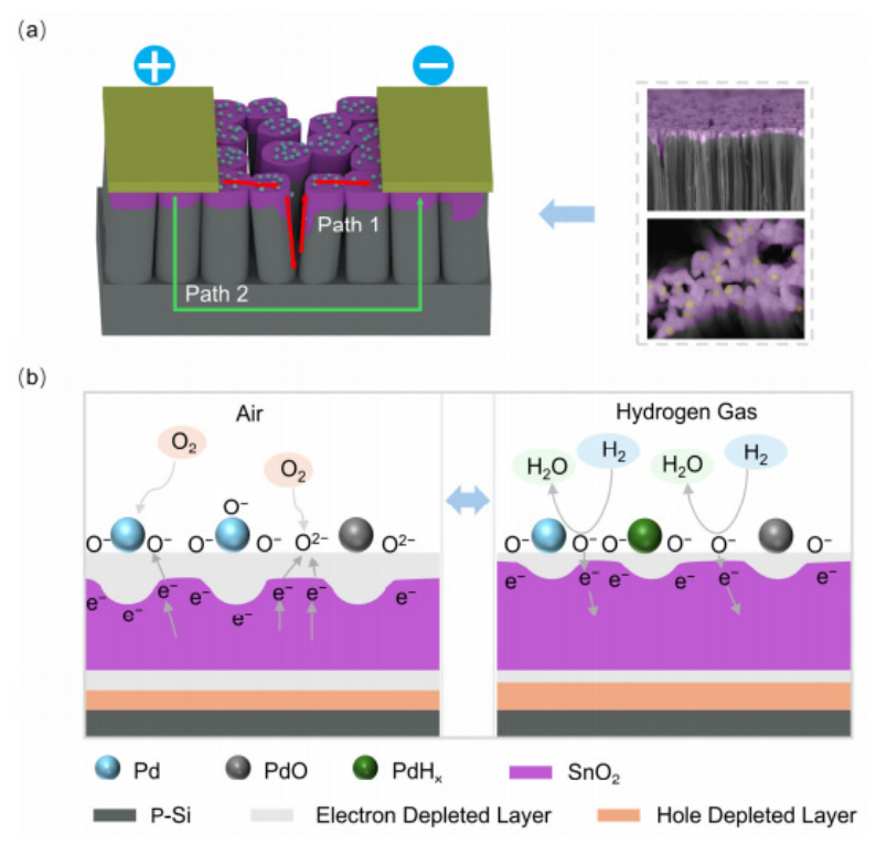 Nanomaterials 16 00762 g007 Nanomaterials 16 00762 g007