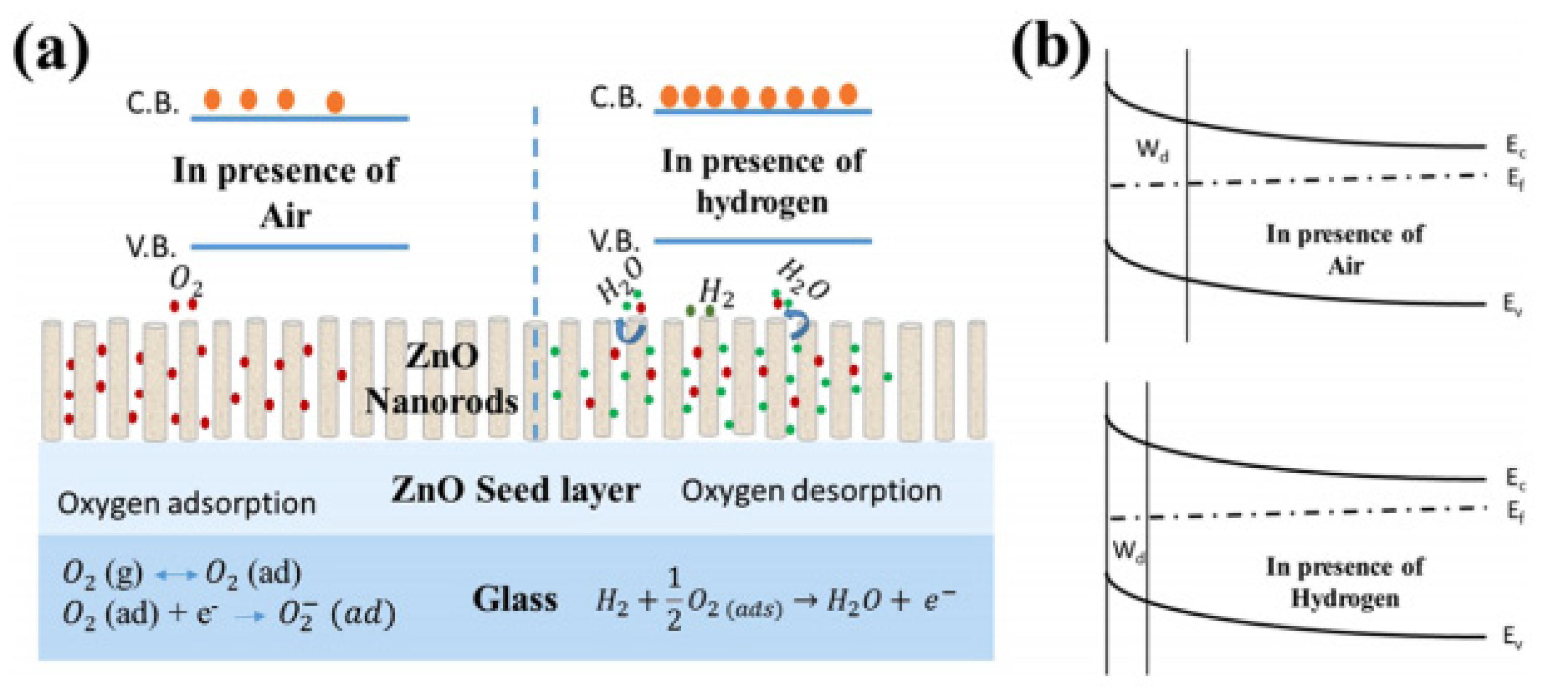 Nanomaterials 16 00762 g008 Nanomaterials 16 00762 g008