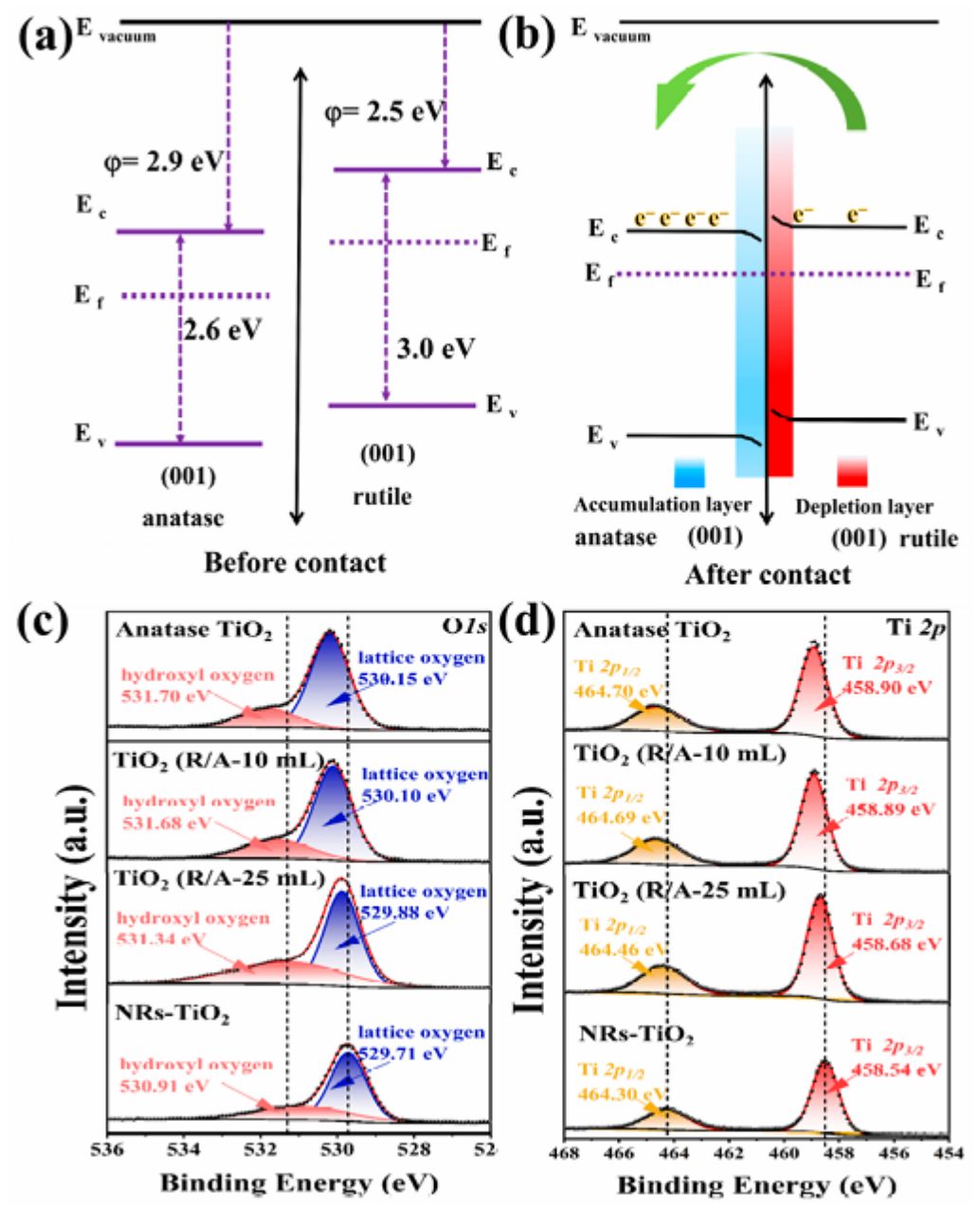 Nanomaterials 16 00762 g013 Nanomaterials 16 00762 g013