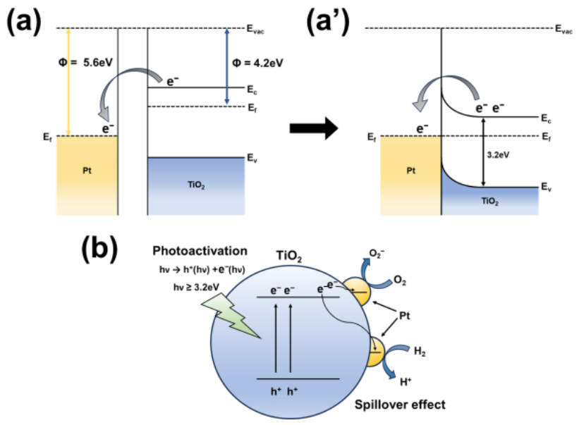 Nanomaterials 16 00762 g019 Nanomaterials 16 00762 g019